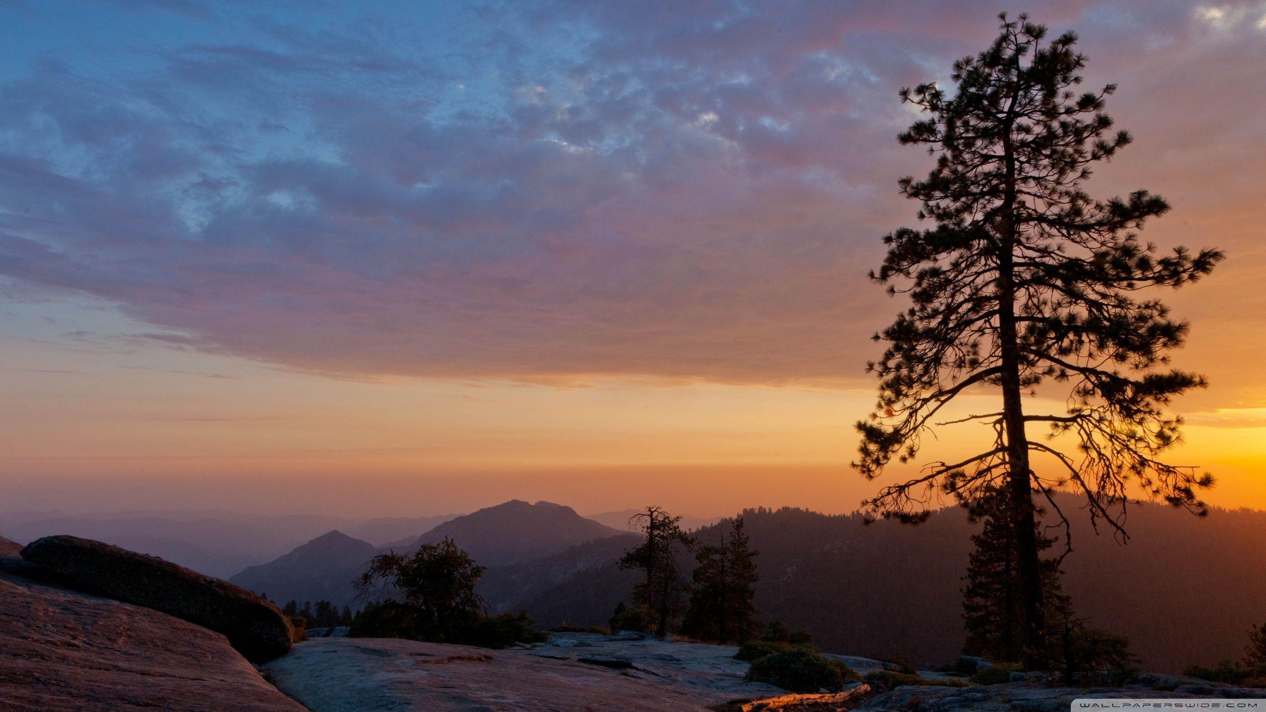 2560x1440 Beetle Rock, Sequoia National Park, California ❤ 4K HD Desktop, Desktop