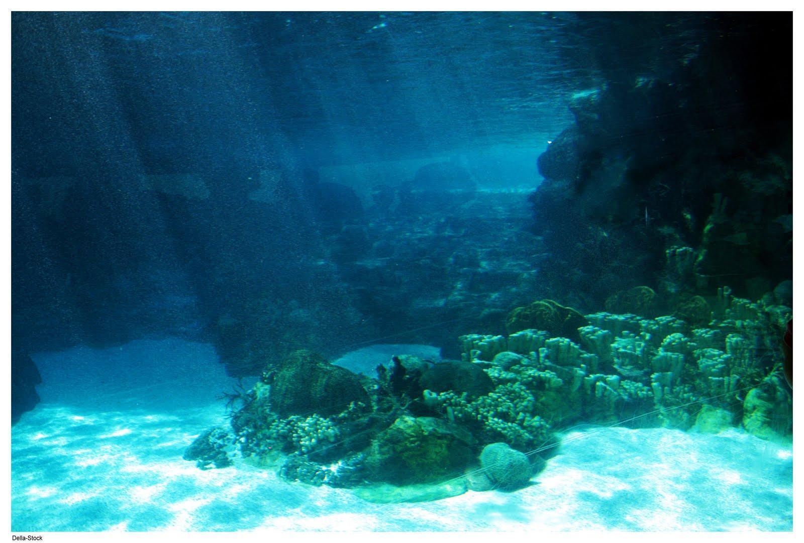1600x1090 Wallpaper For > Ocean Floor Wallpaper, Desktop