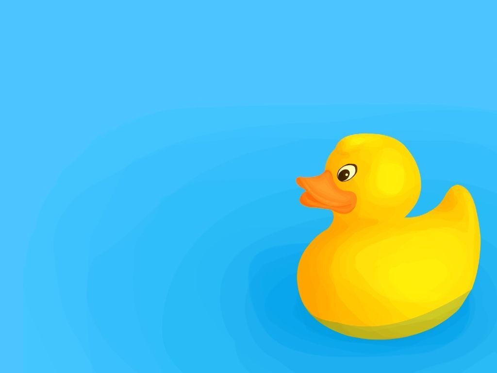 1030x770 Rubber Duck Wallpaper, Desktop