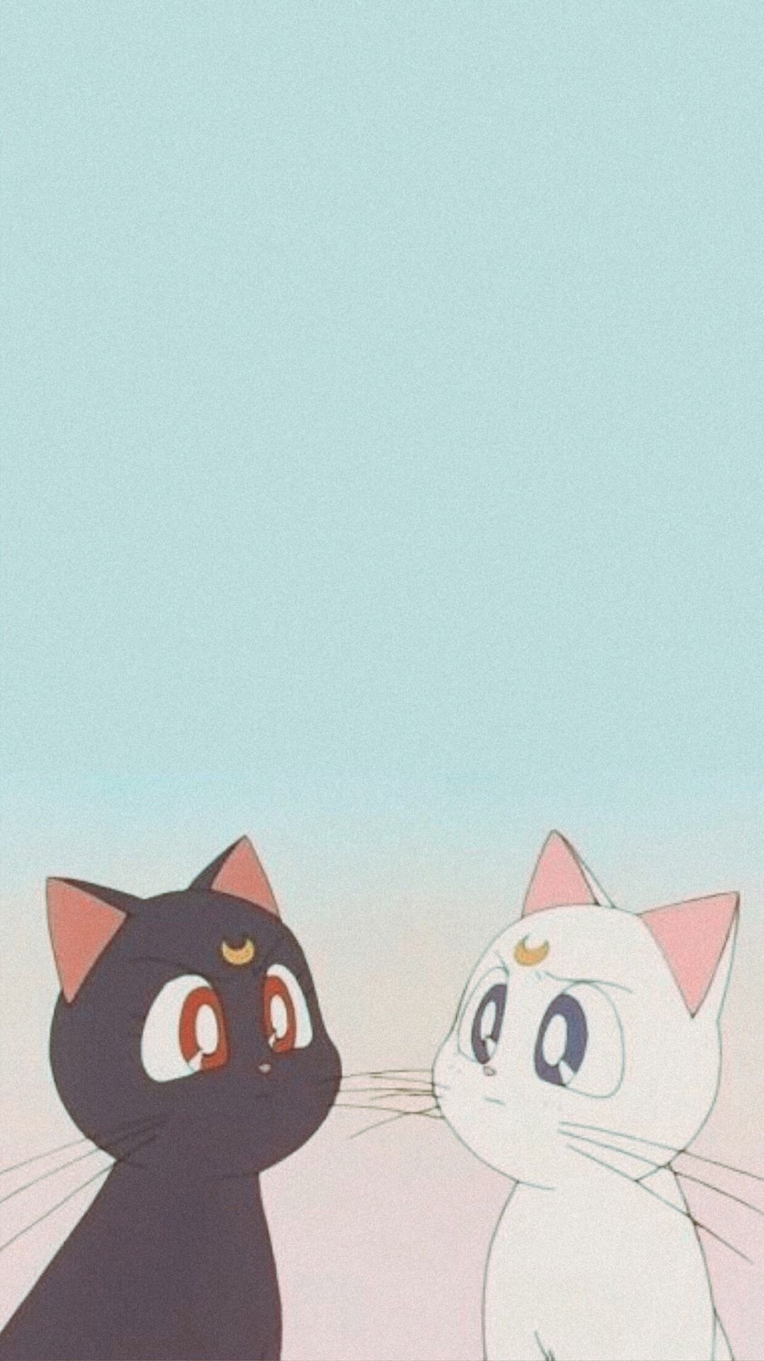 1080x1920 , Phone