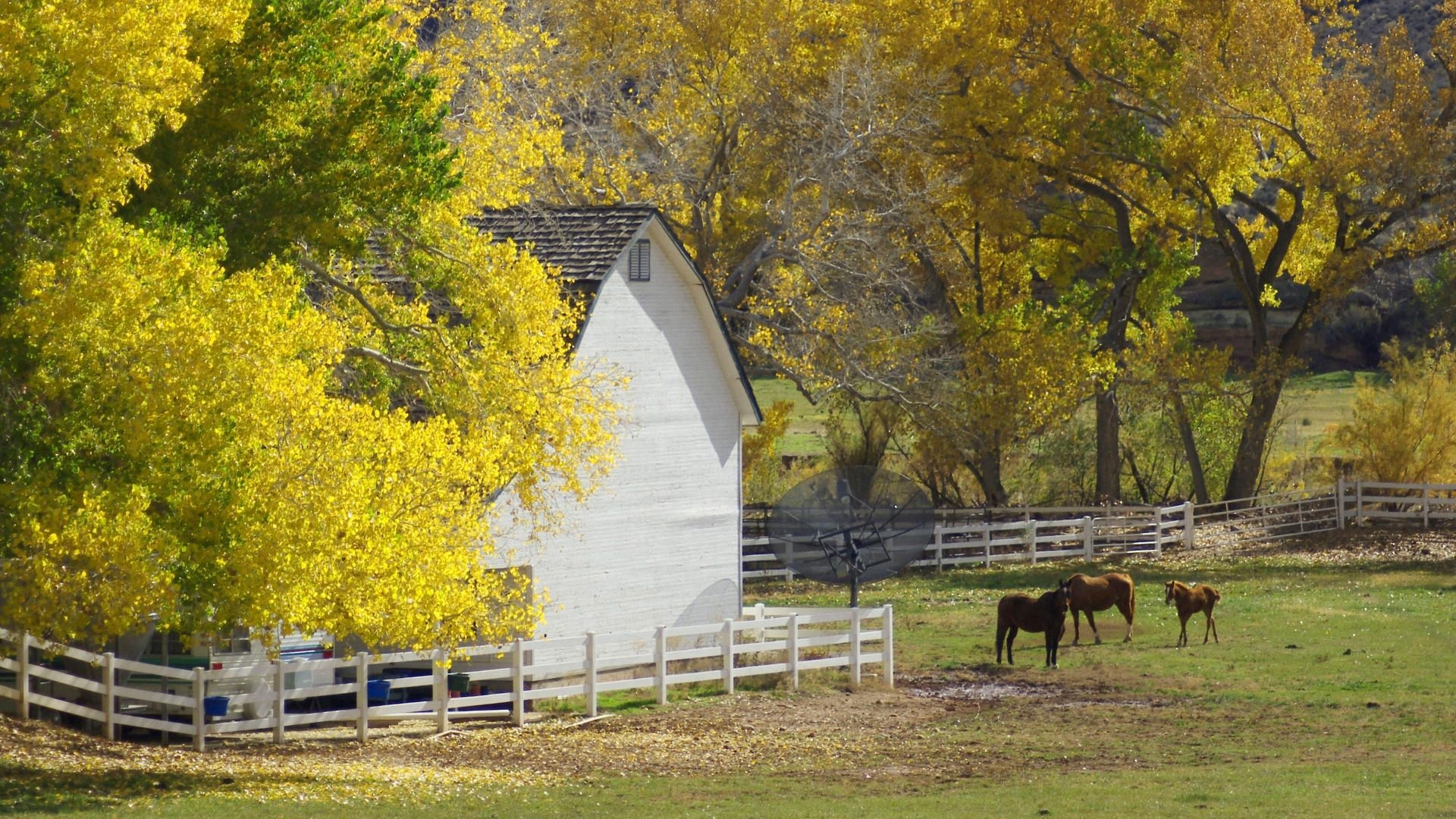 1920x1080 Fall Nature Wallpaper Download Free, Desktop