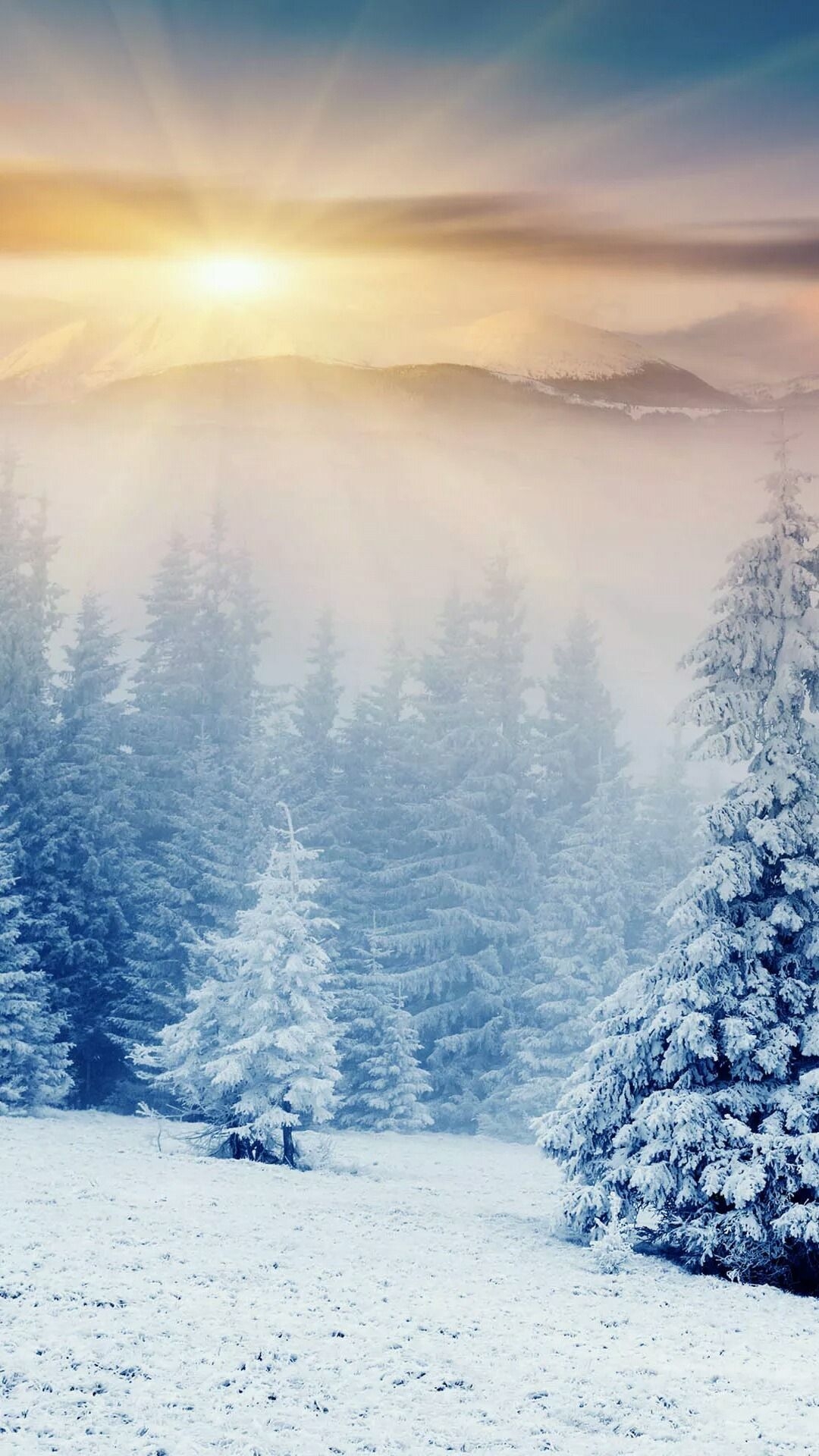 1080x1920 Winter Forest. Winter landscape, Winter background, Winter scenery, Phone