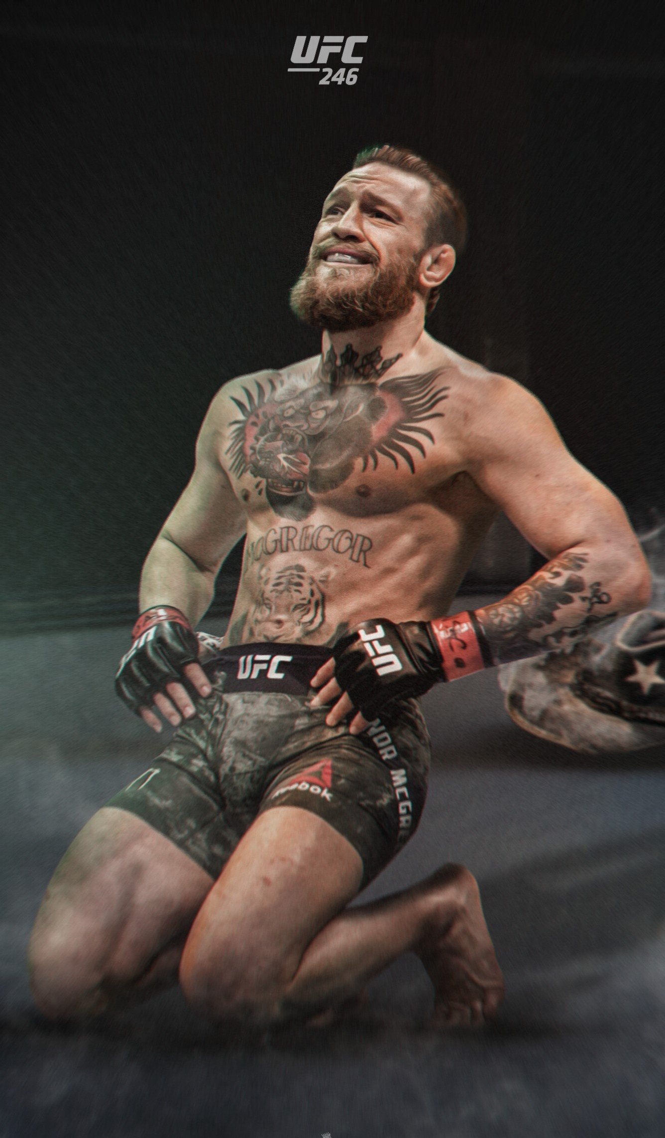 1340x2290 Conor Mcgregor Wallpaper, Phone