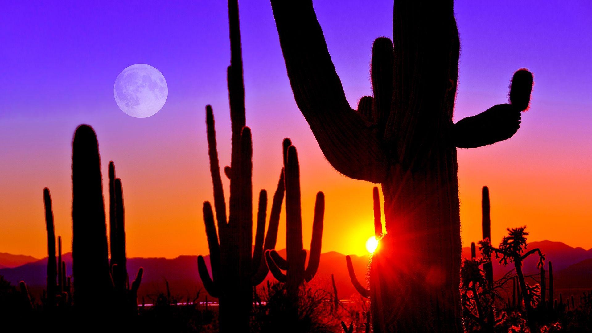 1920x1080 Third Sunset at Saguaro National Park near Tucson Arizona, Desktop