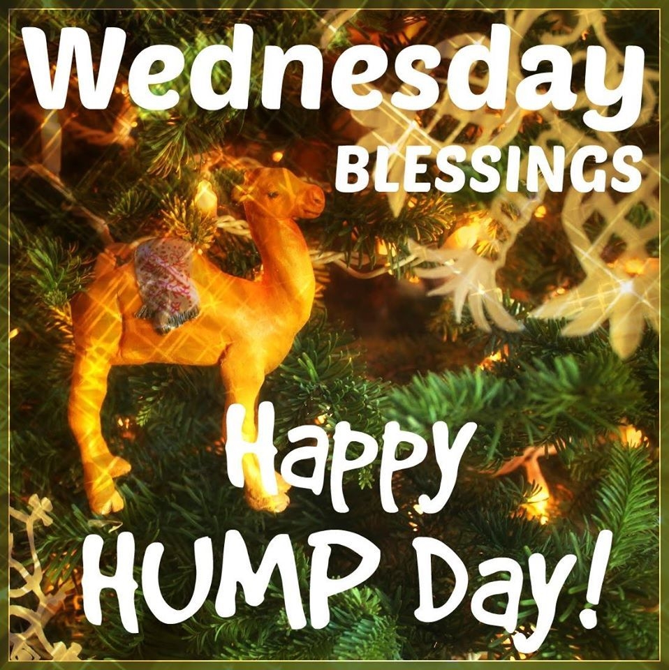 960x960 Wednesday Blessings Happy Hump Day Picture, Photo, and Image for Facebook, Tumblr, , and Twitter, Phone