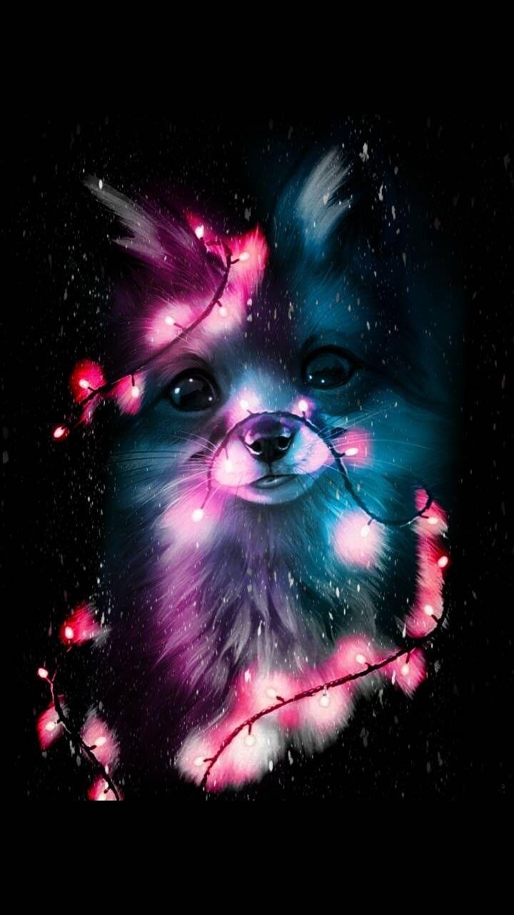 720x1280 Download Cute Fox wallpaper by BradleyJohnsonTV now. Browse millions of popular a. Animal wallpaper, Cute animal drawings, Cute baby animals, Phone