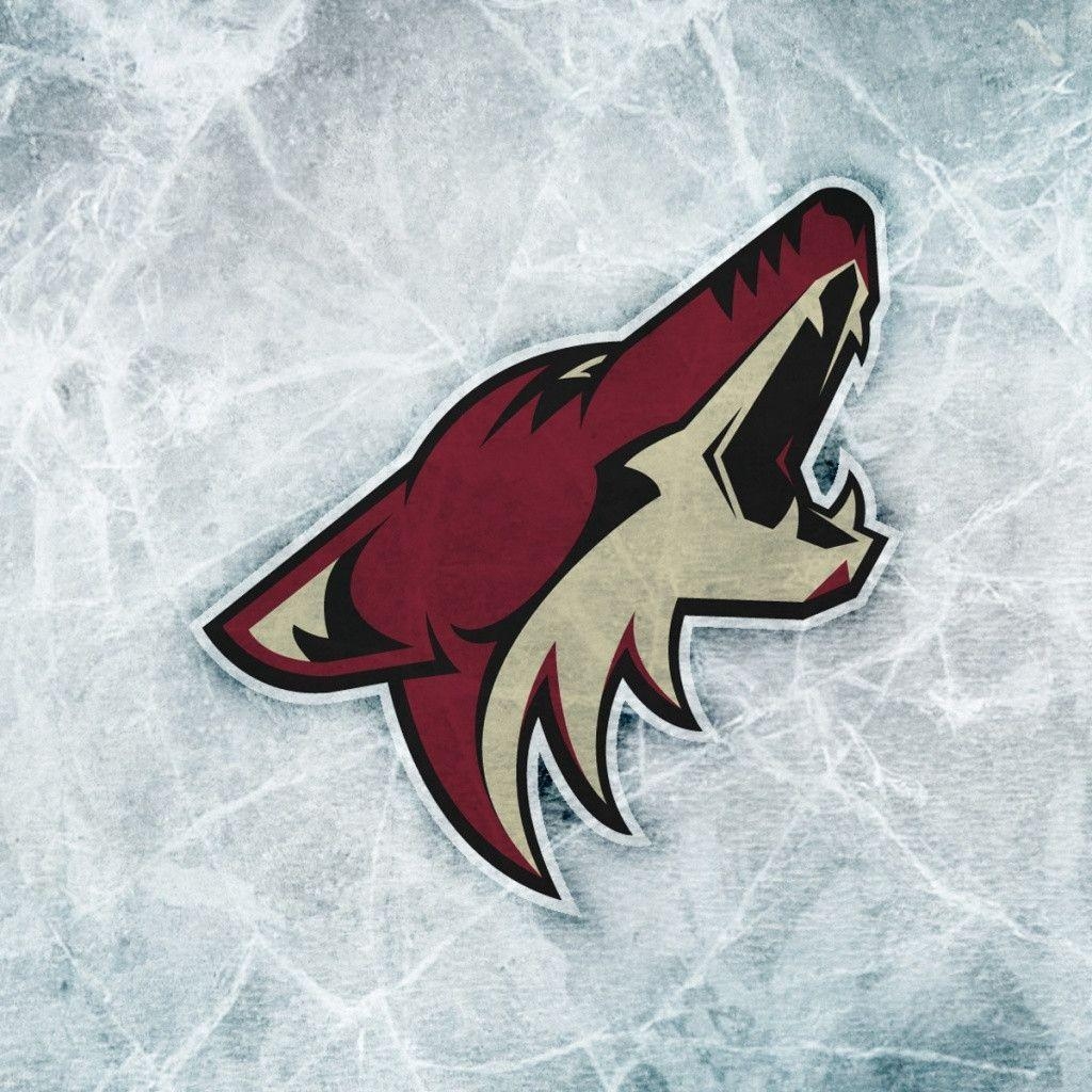 1030x1030 Phoenix Coyotes iPad 1 & 2 Wallpaper, Phone