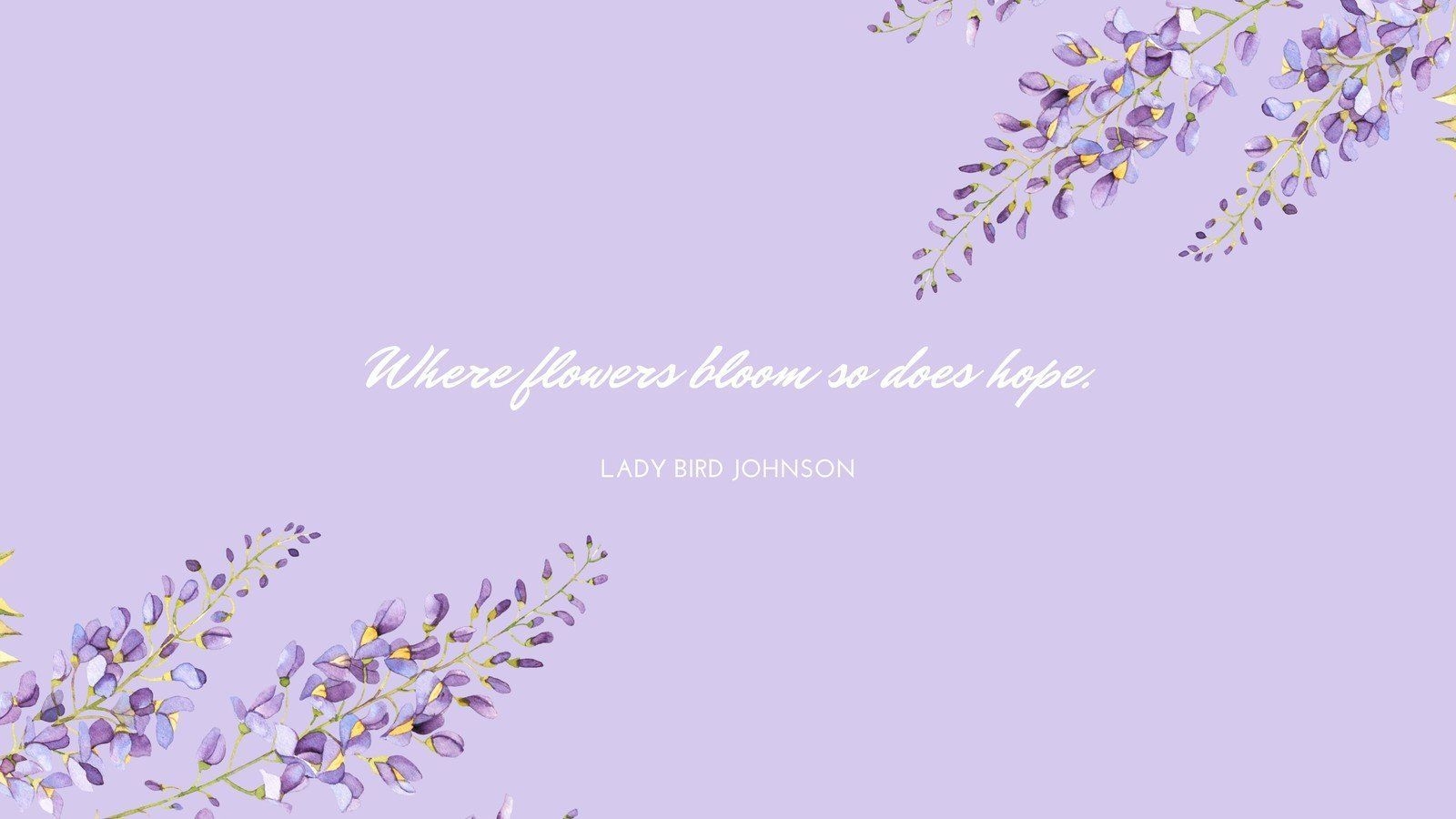 1600x900 Purple Flowers Aesthetic Laptop Wallpaper Free Purple Flowers Aesthetic Laptop Background, Desktop