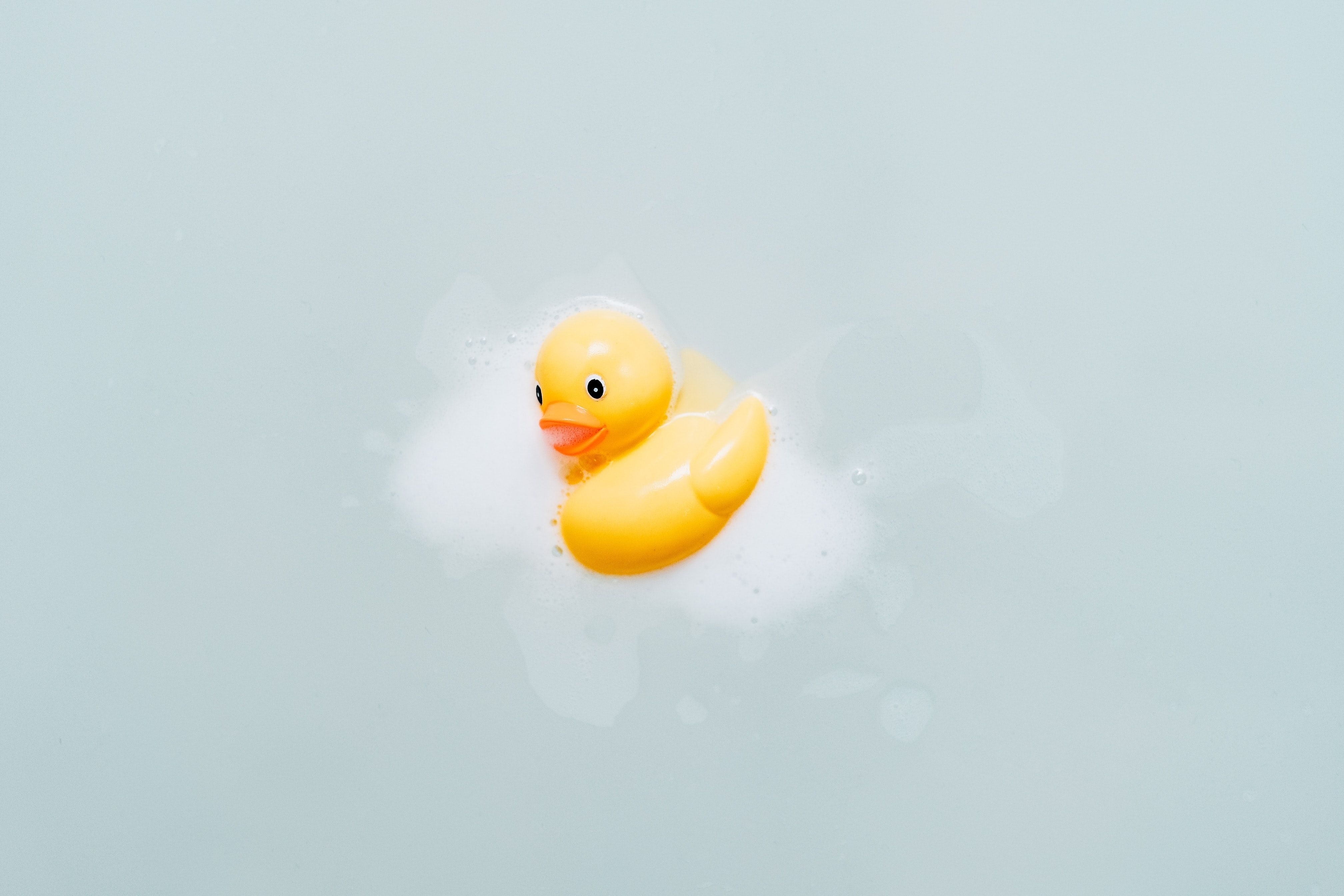 4040x2690 yellow bath duck photo, Desktop