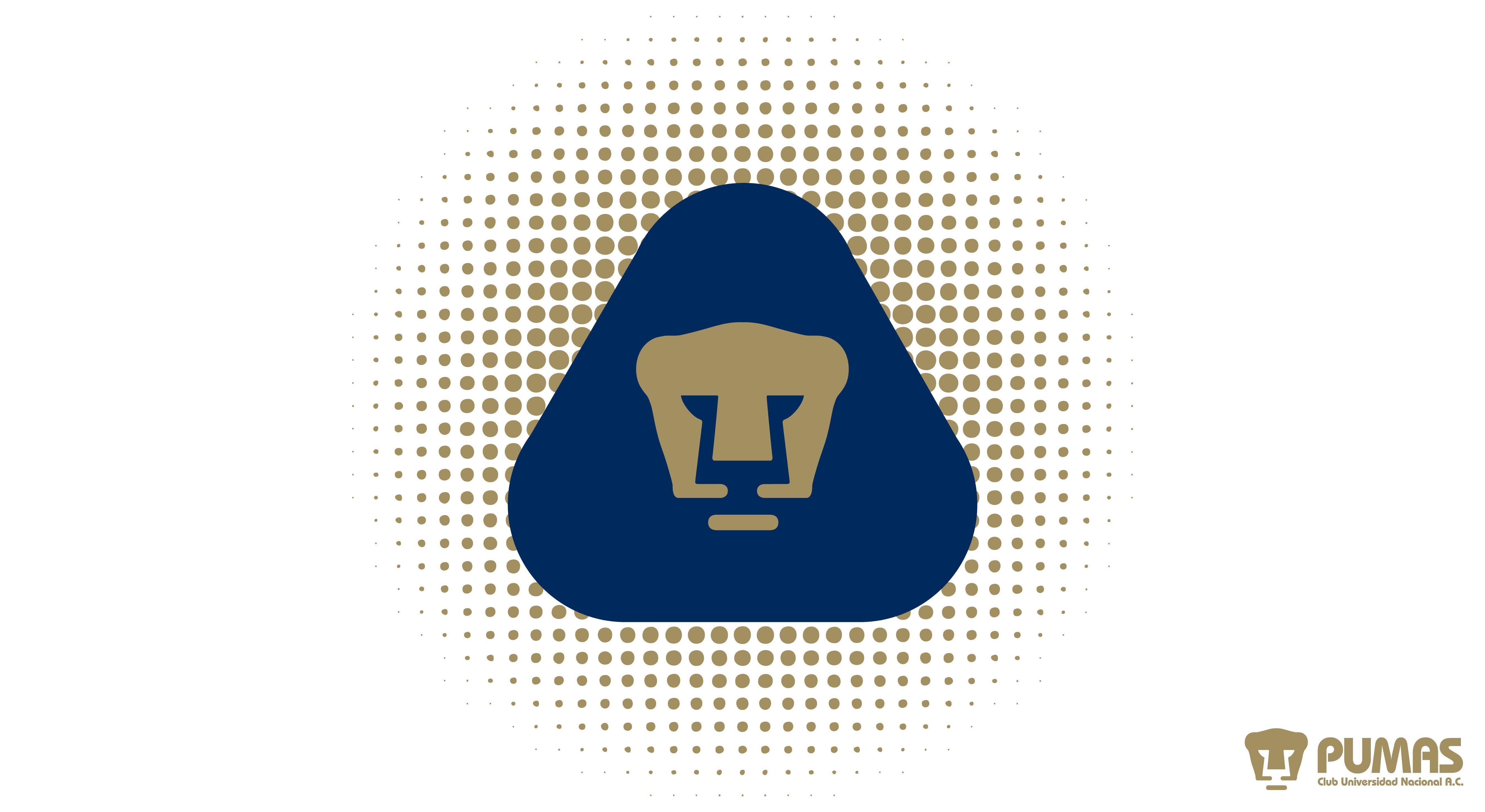 5340x2920 Pumas Wallpaper. Top HDQ Pumas Image, Wallpaper, Desktop