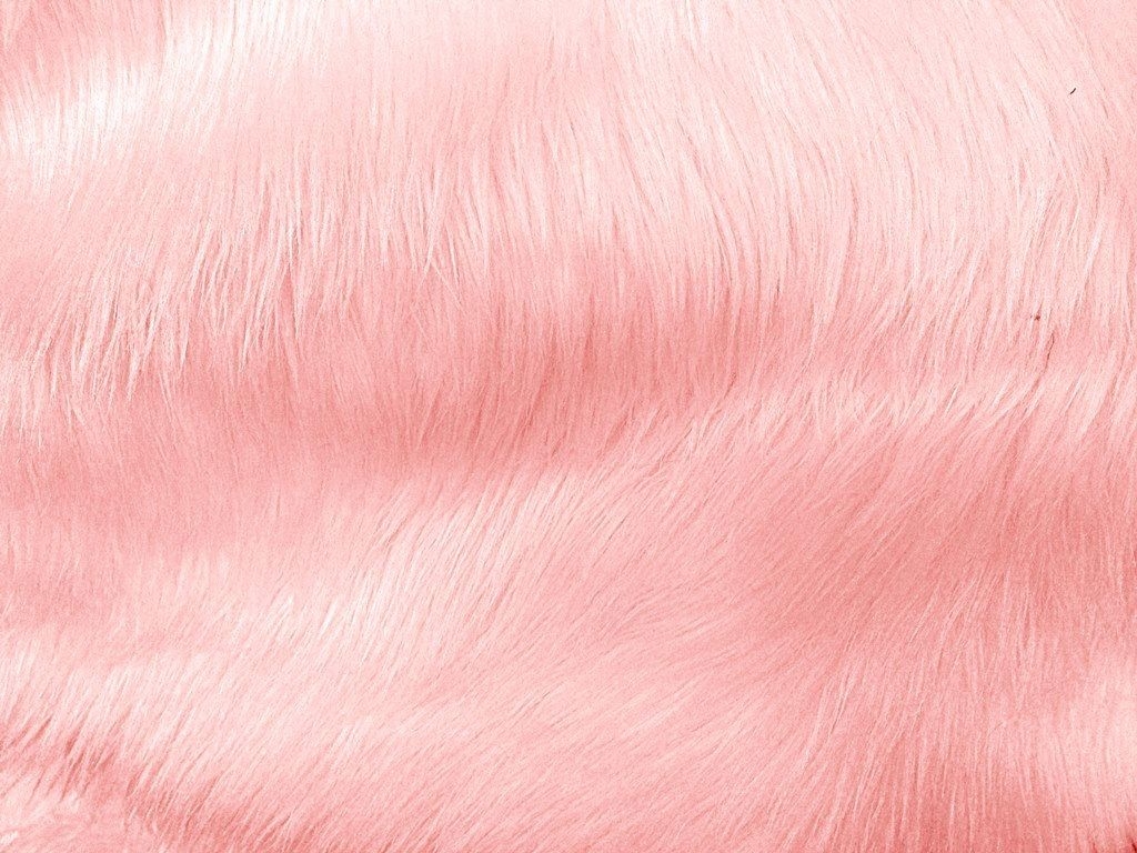 1030x770 Fur Wallpaper Fresh Pink Fur Wallpaper 52dazhew Gallery, Desktop