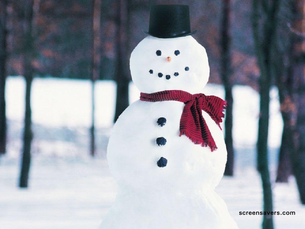 1030x770 Winter Snowman (id: 70297), Desktop