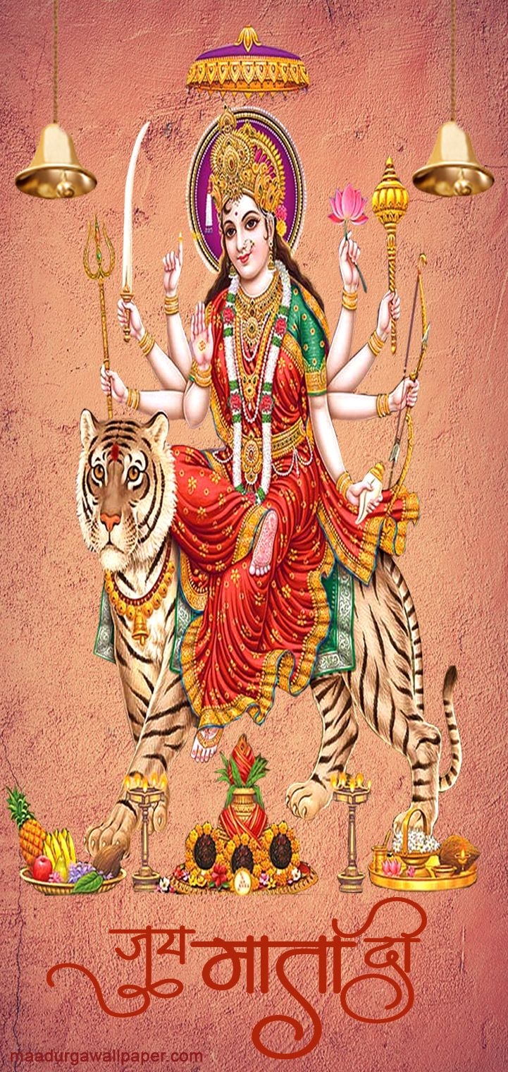 730x1520 Maa Durga sitting on lion mobile wallpaper, Phone