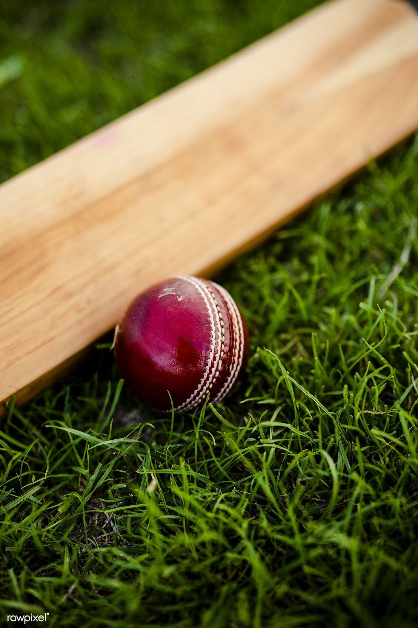 1400x2100 Download premium image of Cricket bat and ball on green grass 529045. Cricket bat, Cricket wallpaper, Cricket balls, Phone