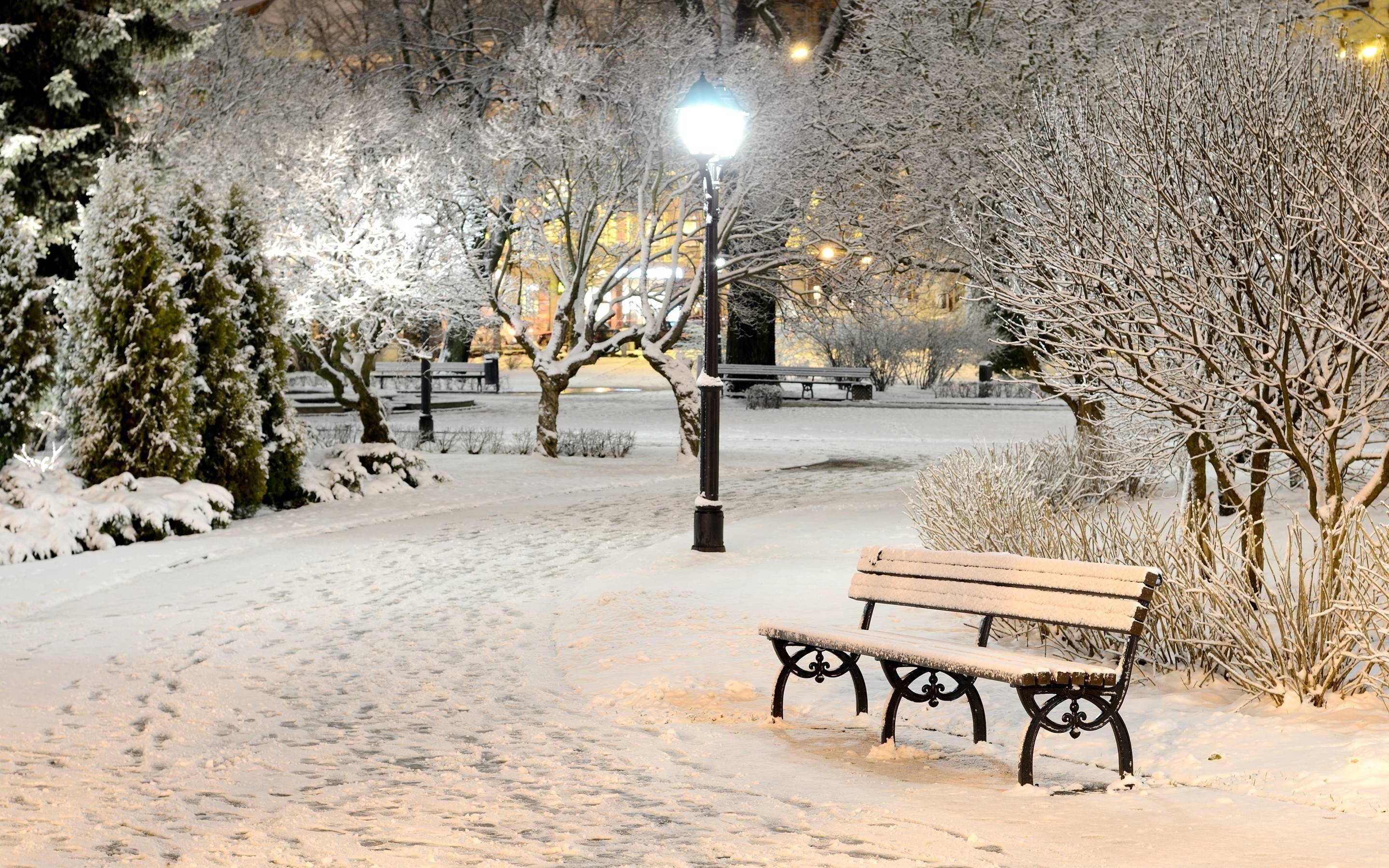 2880x1800 Snowy Park Night Wallpaper Wide or HD, Desktop