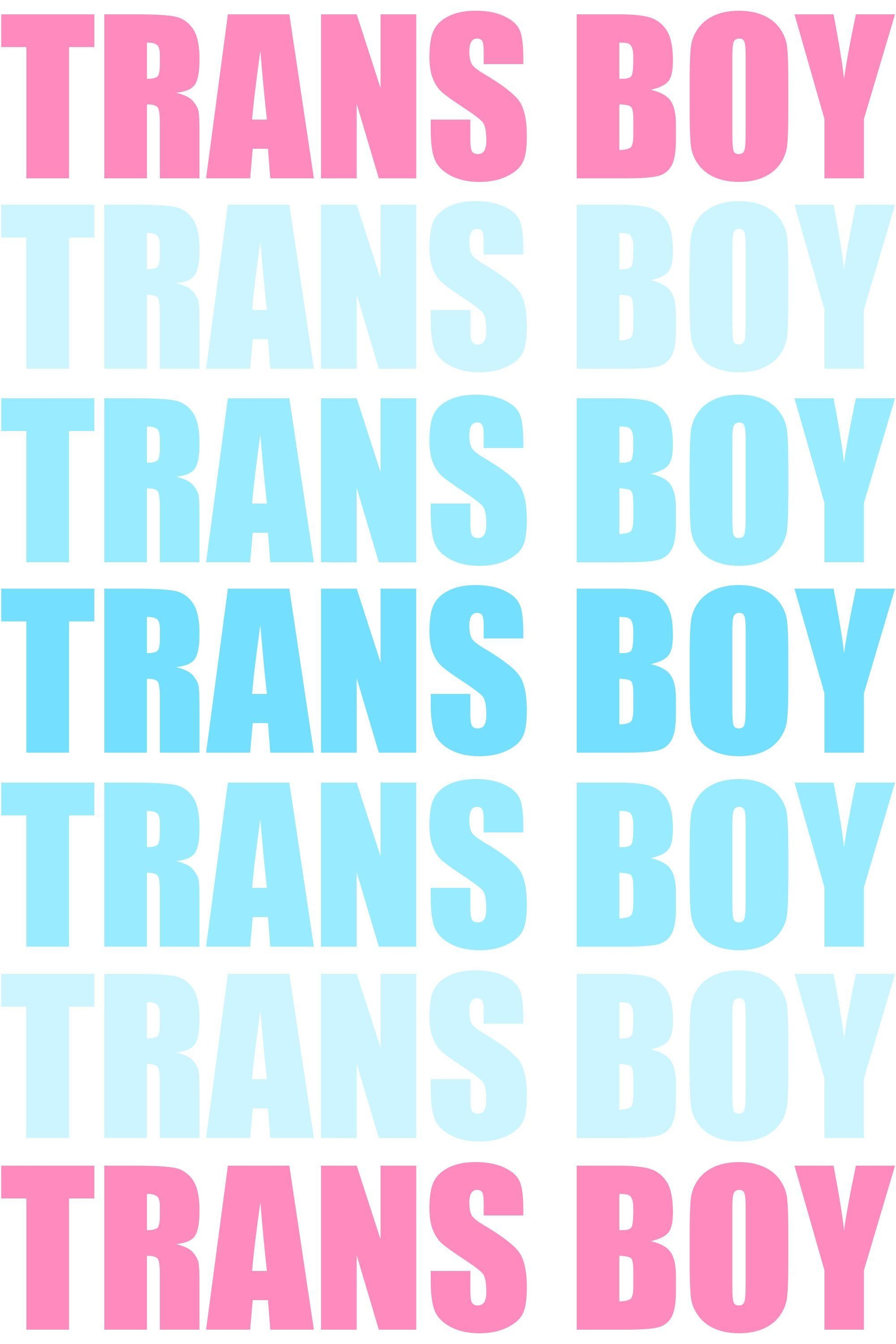 2010x3000 Transgender Pride Wallpaper, Phone