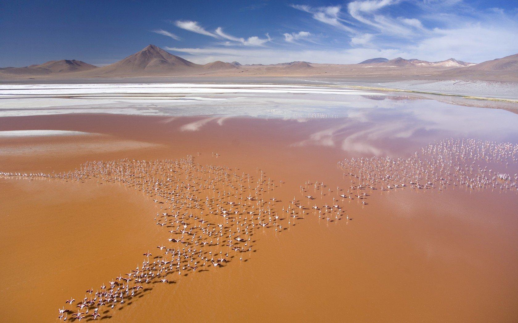 1680x1050 Laguna Colorada, Desktop