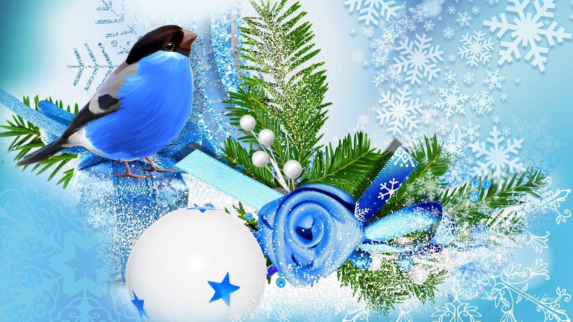 1920x1080 Blue bird winter season wallpaper. PC, Desktop