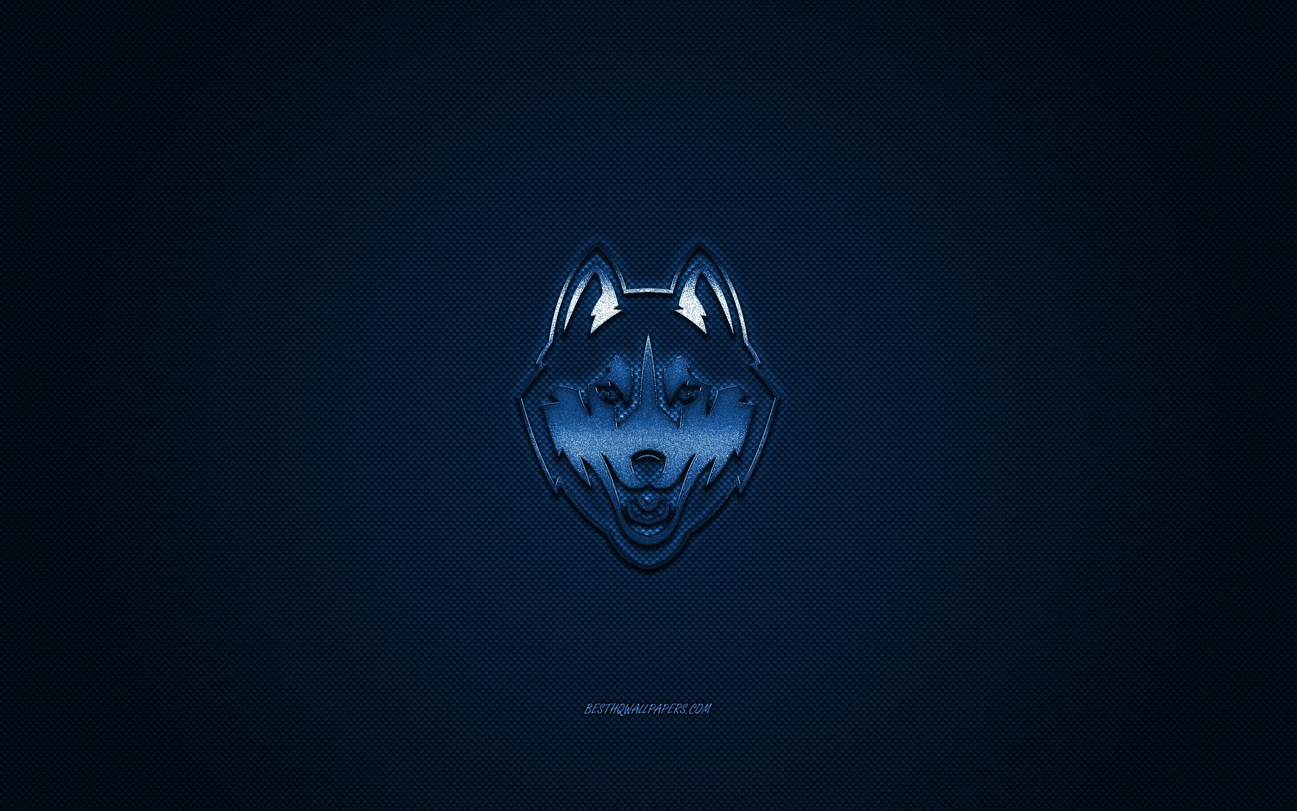 2560x1600 Download wallpaper UConn Huskies logo, American football club, NCAA, blue logo, blue carbon fiber background, American football, Storrs, Connecticut, USA, UConn Huskies, Connecticut Huskies for desktop with resolution. High Quality HD, Desktop