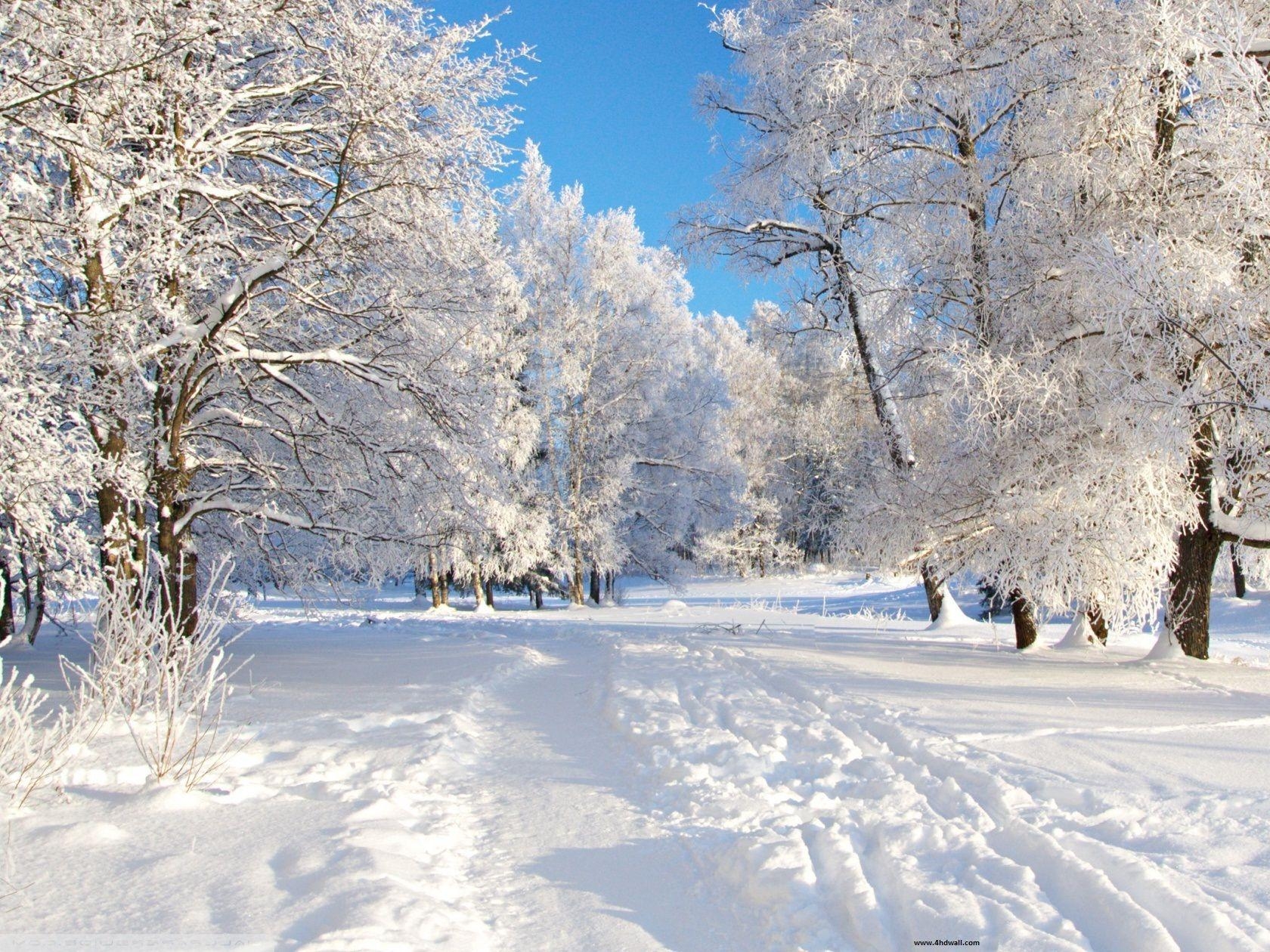 1680x1260 Wallpaper Collection, +37 Best Free HD winter desktop background Background to Download PC. Winter desktop background, Winter scenery, Free winter wallpaper, Desktop