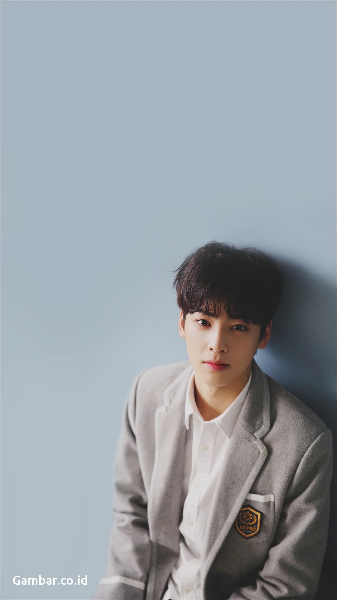 1080x1920 Wallpaper Orang Korea Cha Eun Woo, HD, Phone