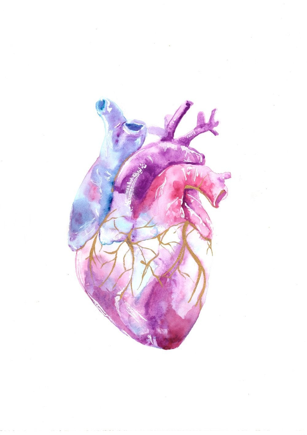 1000x1420 Anatomical Heart iPhone Wallpaper, Phone