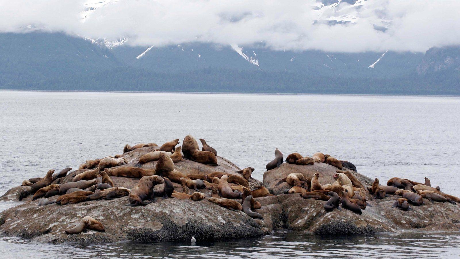 1600x900 Glacier Bay National Park Picture: View Photo & Image, Desktop