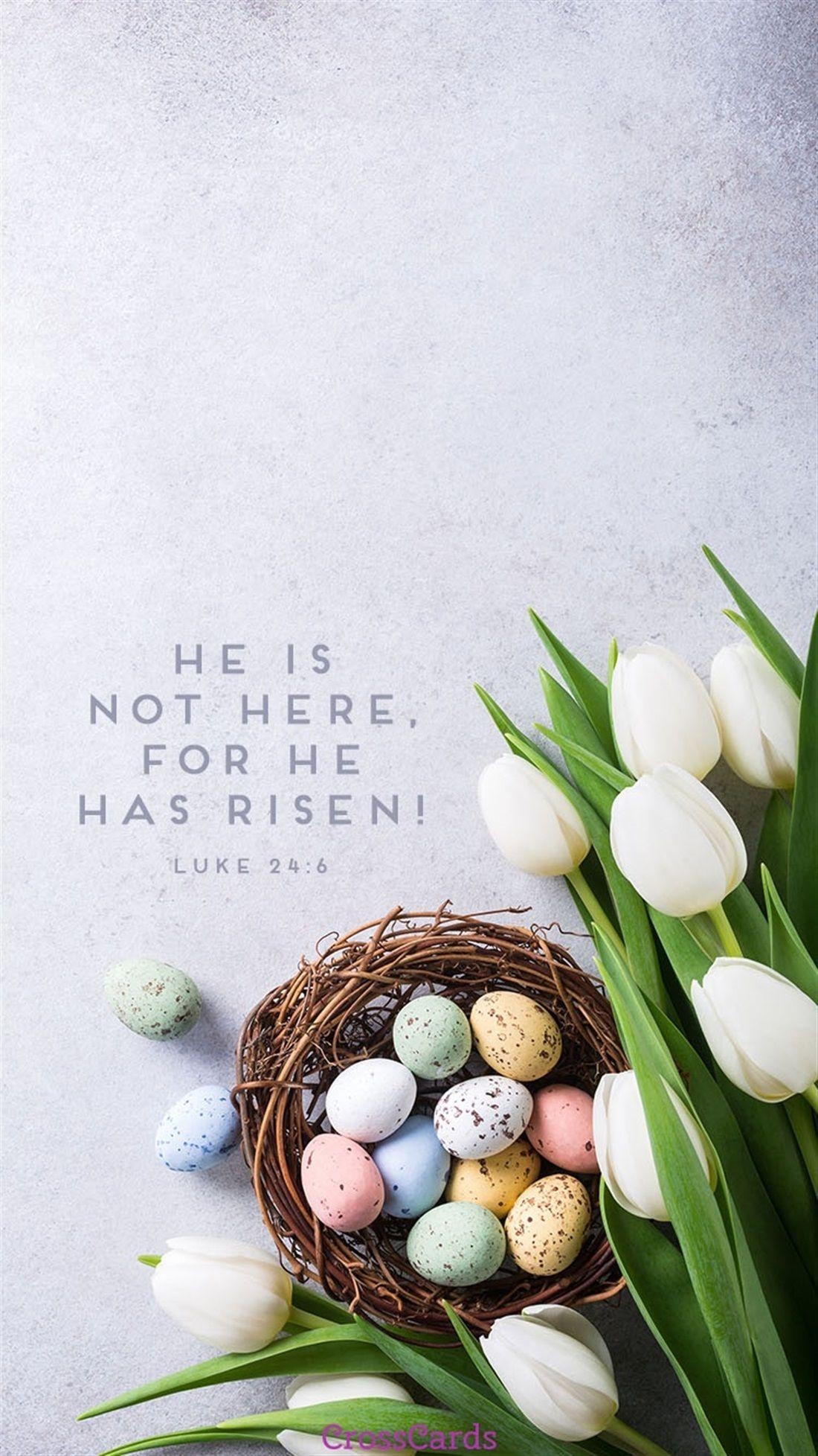 1100x1960 He Has Risen. Happy easter wallpaper, Easter wallpaper, Easter, Phone