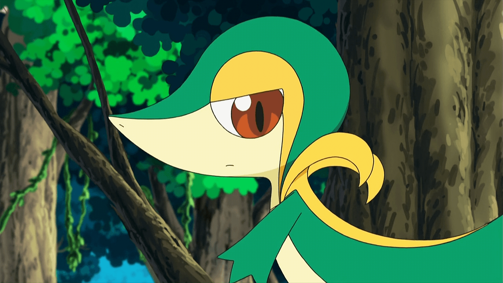 1920x1080 BW007: Snivy Plays Hard to Catch!. Pokémon, Desktop