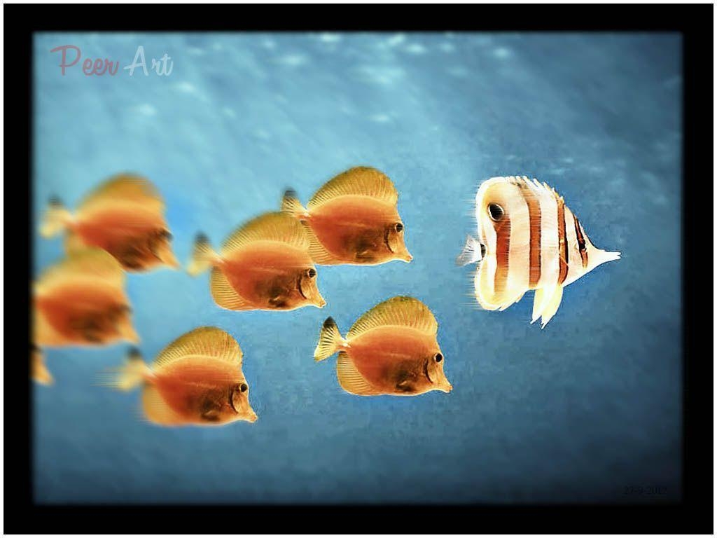 1030x770 Peer Art: Windows 98 Fish Wallpaper, Desktop