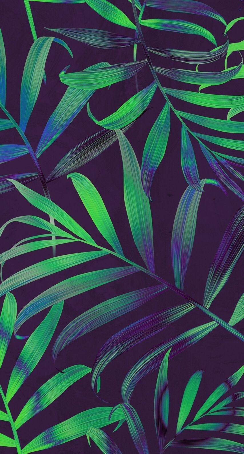 860x1590 Palm leaves. Wallpaper. Palm, Leaves, Phone