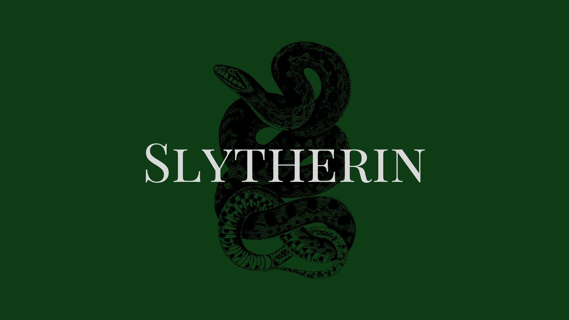 1920x1080 Slytherin Aesthetic Laptop Wallpaper, Desktop