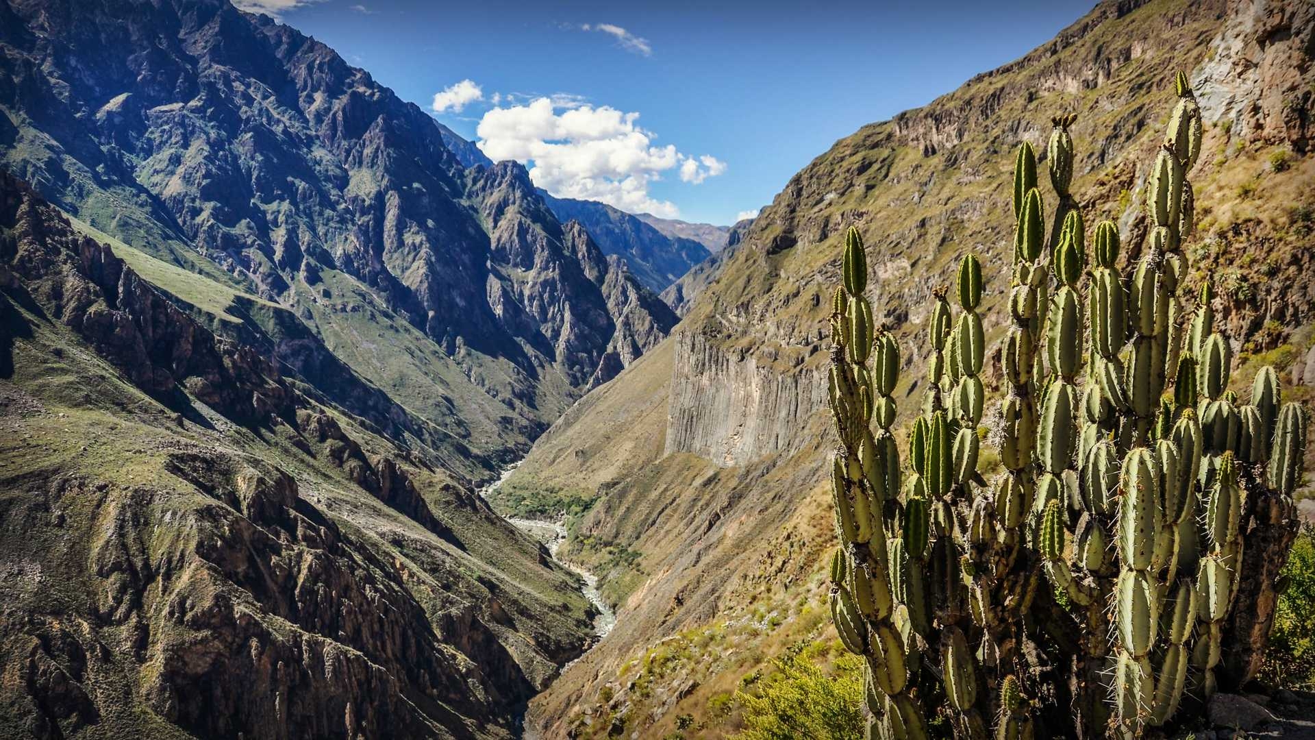 1920x1080 Hiking the Colca Canyon Trek in Arequipa, Desktop