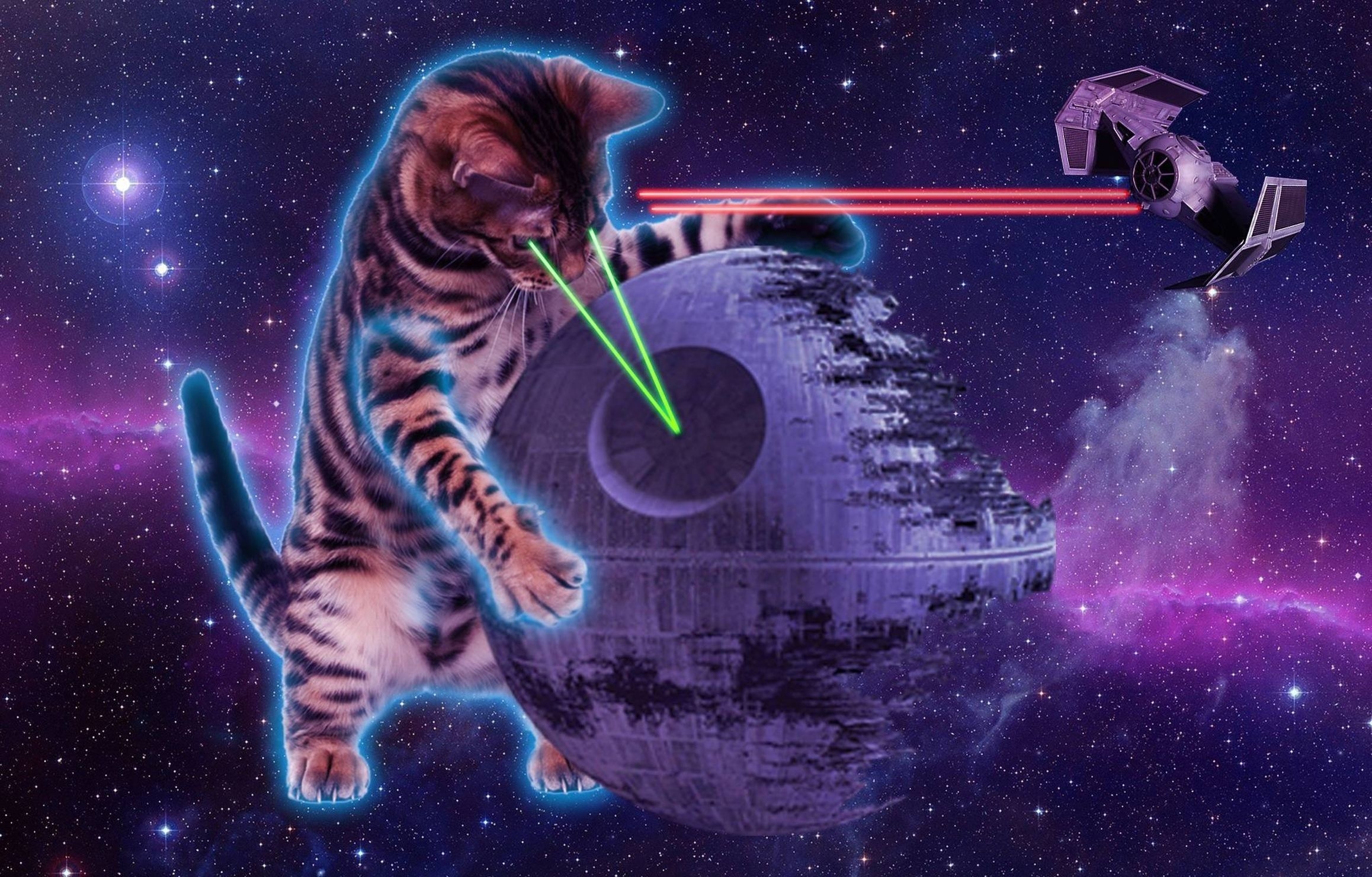 2320x1480 Space Cat Wallpaper, Desktop