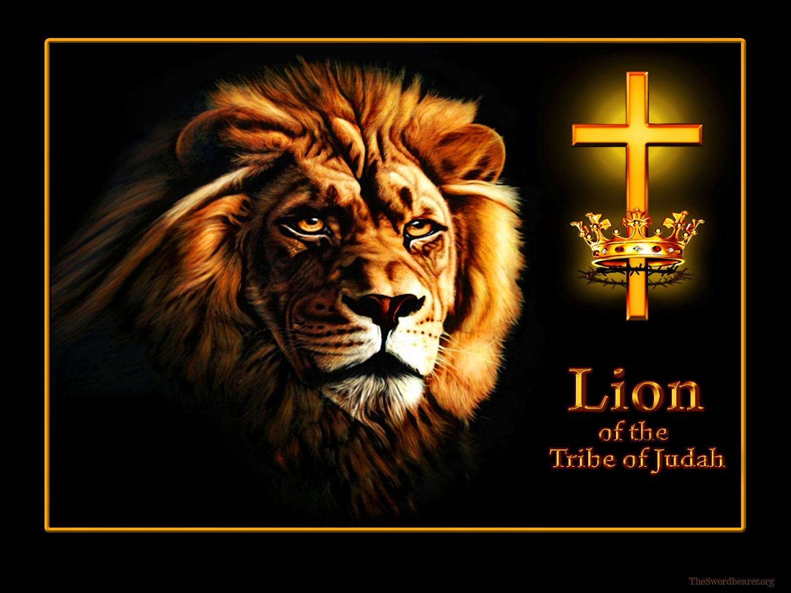 1600x1200 Wallpaper: Lion of the tribe of Judah, Desktop