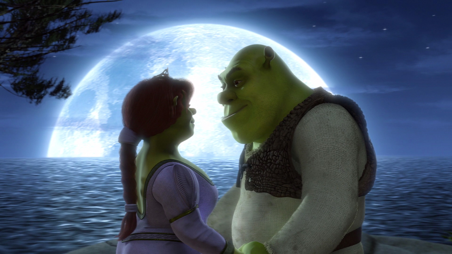 1920x1080 Fiona and Shrek, Desktop