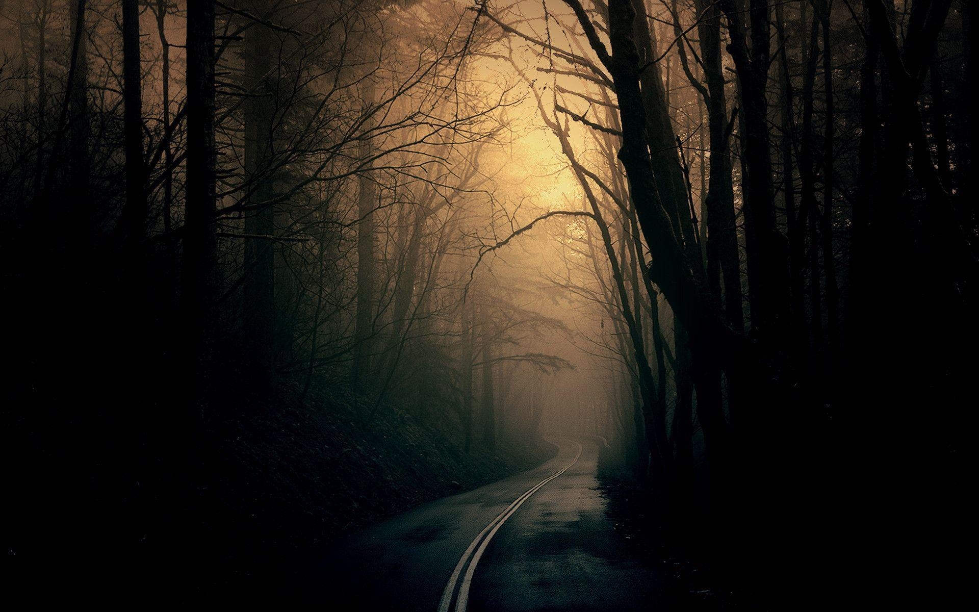 1920x1200 Dark HD Wallpaper: Dark Forest Road HD Wallpaper..Ssofc, Desktop