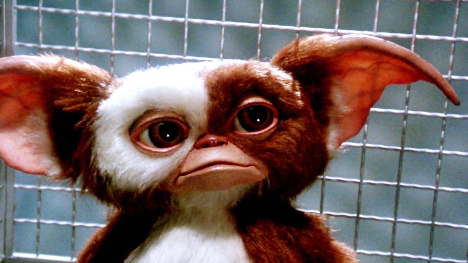 1920x1080 GREMLINS comedy horror creature monster alien (6) wallpaper, Desktop