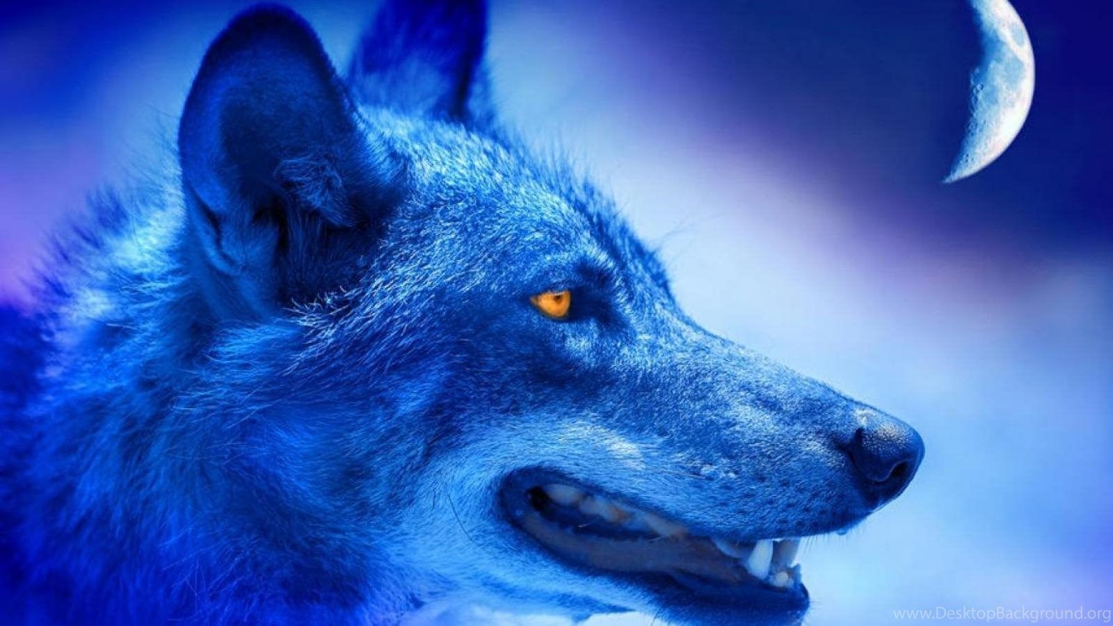 1600x900 Blue Wolf Wallpaper Free Blue Wolf Background, Desktop