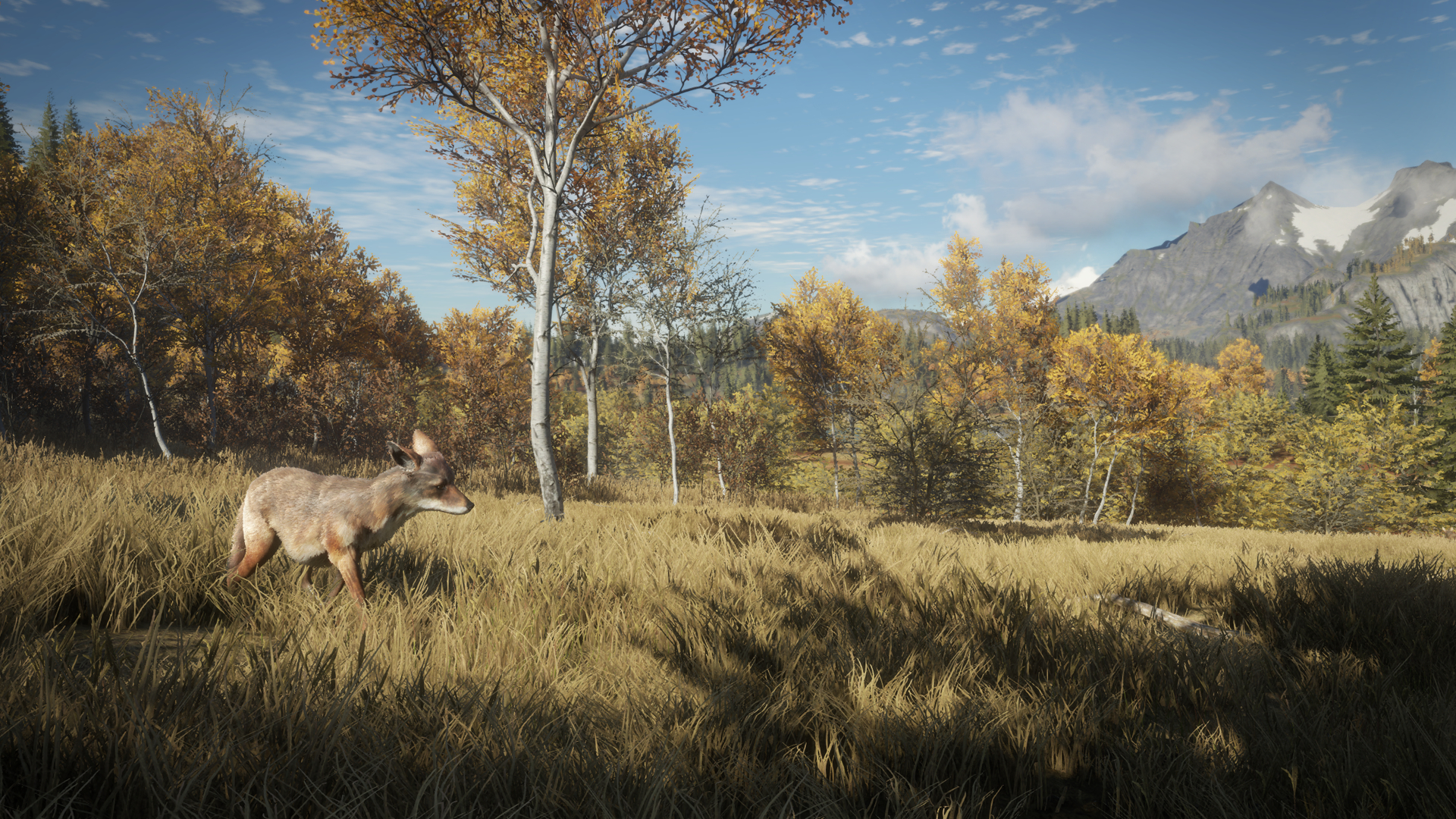 1920x1080 Picture Of TheHunter: Call Of The Wild 27 38, Desktop