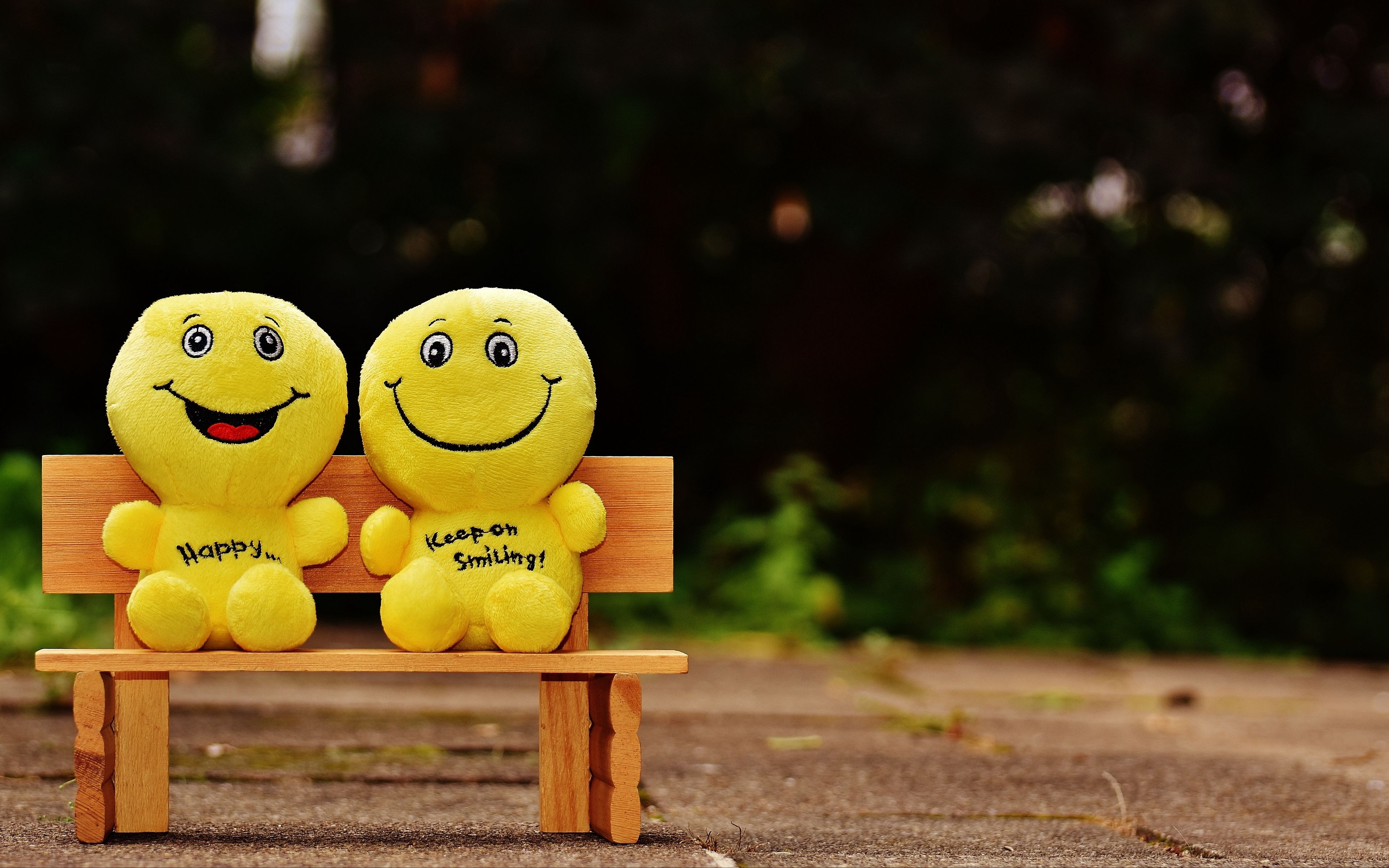 3840x2400 Wallpaper Smiles, Happy, Cheerful, Smile, Bench, Cute, Desktop