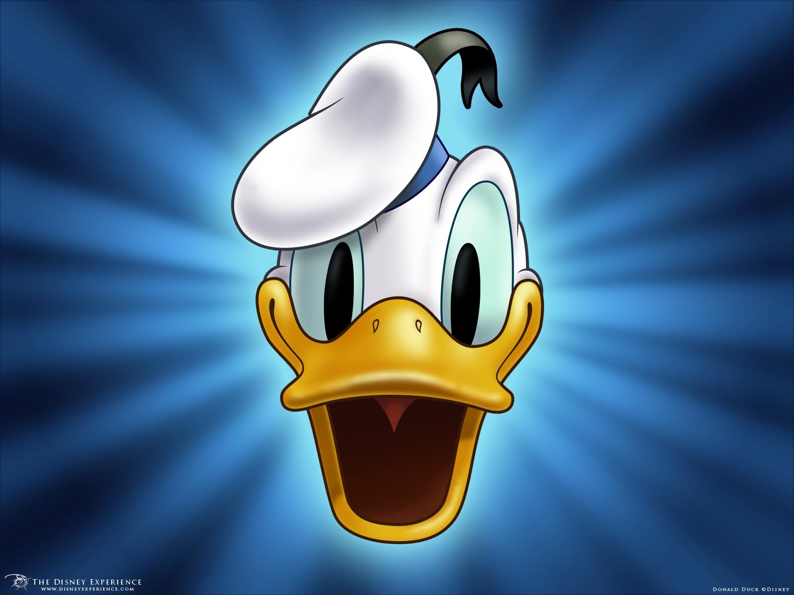 1600x1200 Donald Duck Computer Wallpaper, Desktop