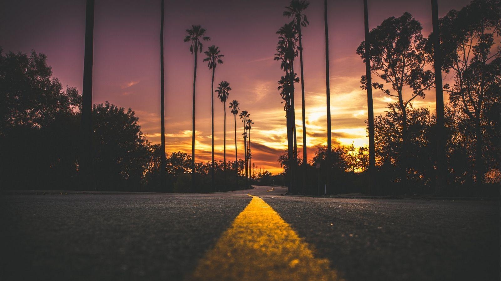 1600x900 Download wallpaper  palms, road, marking, trees, sky, Desktop