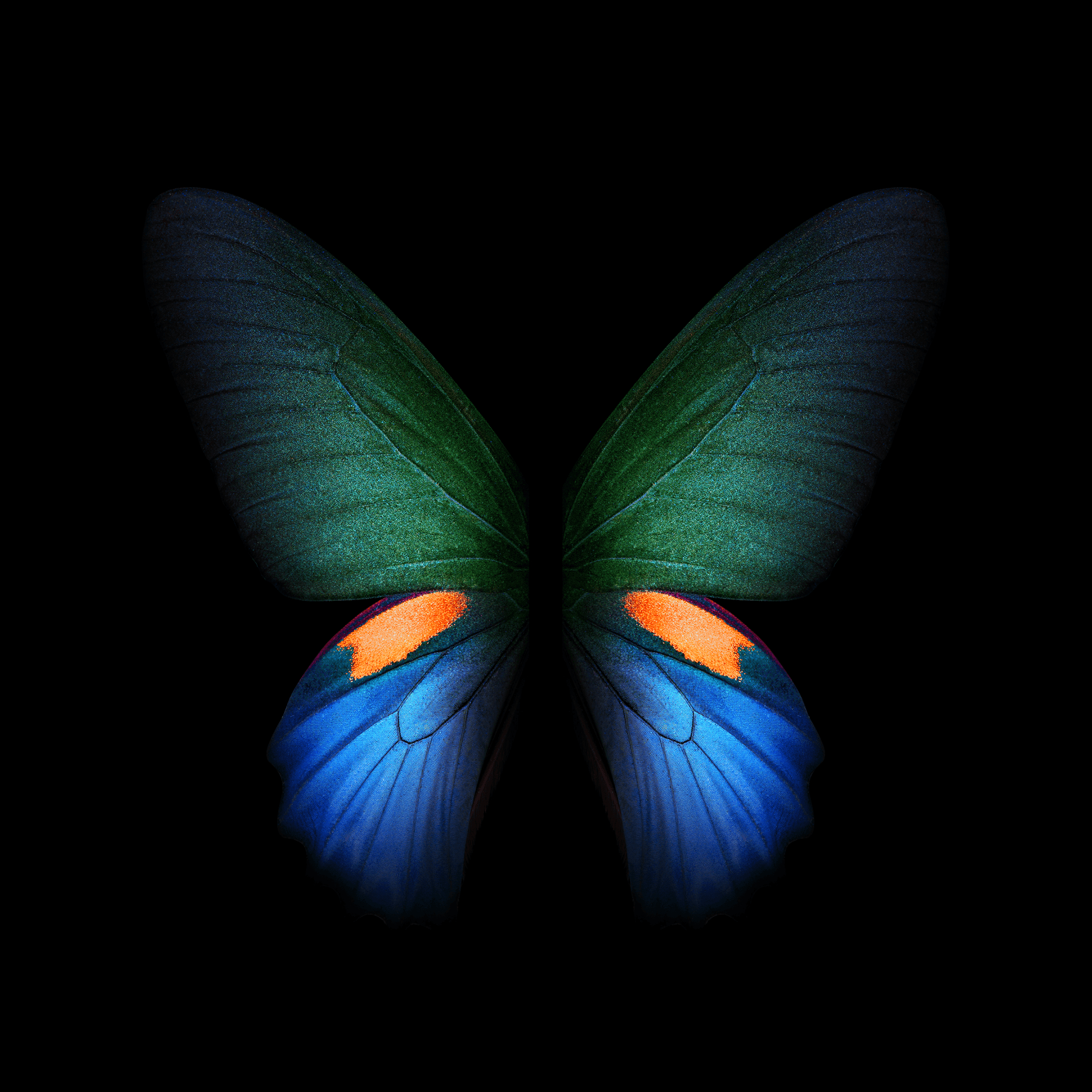 2160x2160 Download Samsung Galaxy Fold Wallpaper In High Quality!, Phone