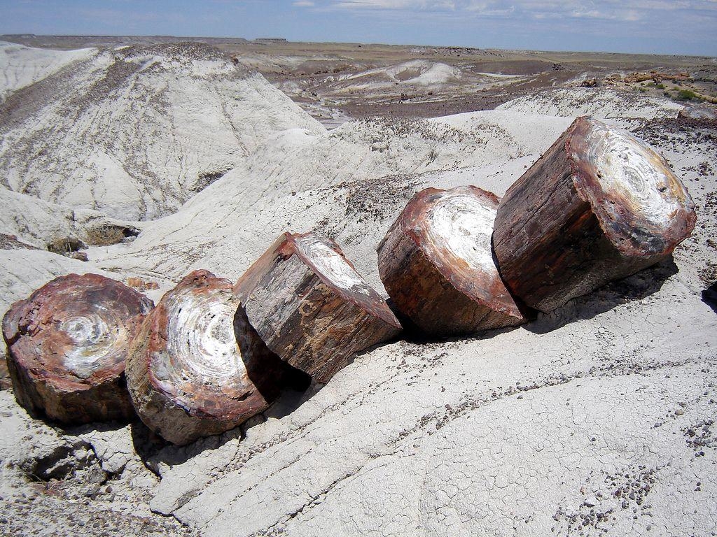 1030x770 USA, Petrified Forest National Park. Chunks of pe, Desktop