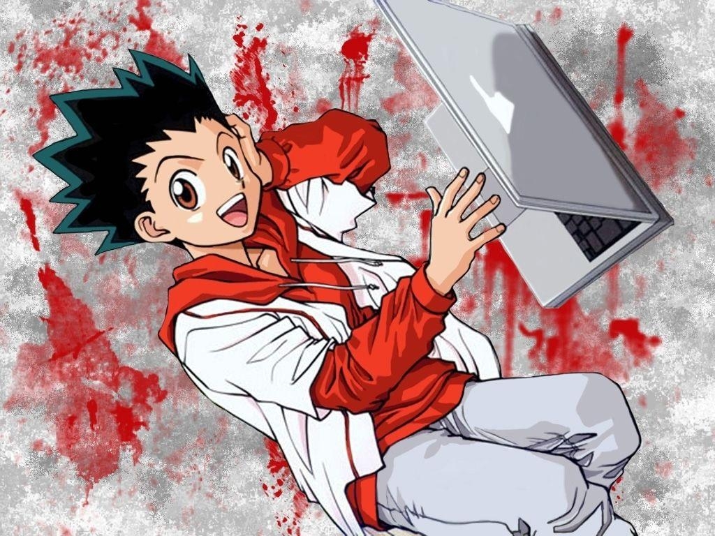 1030x770 Hunter x Hunter HD Wallpaper Download, Desktop