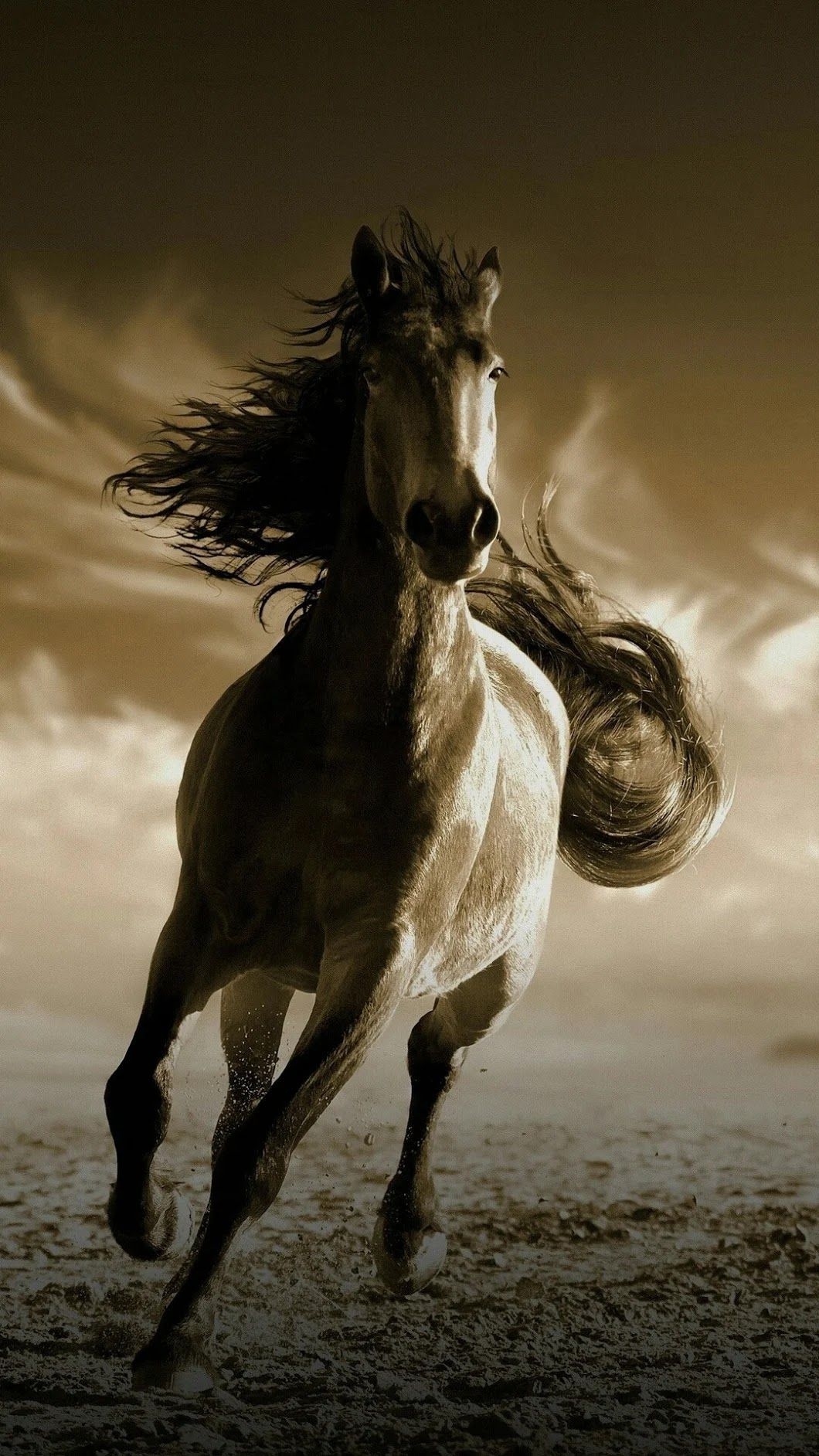 1060x1890 Running Horse HD Wallpaper For Mobile.wallpapertip.com, Phone