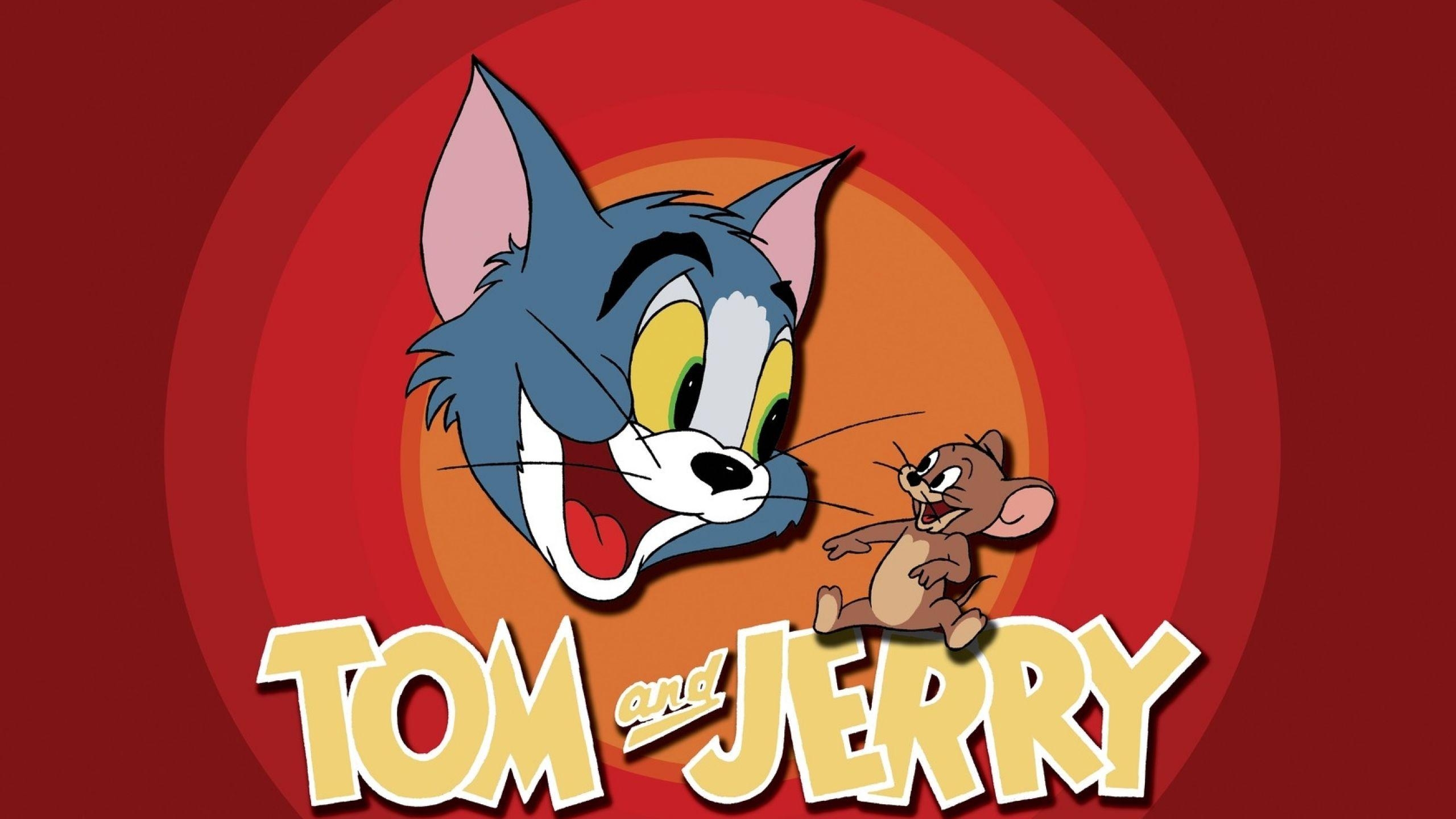 2560x1440 Tom and Jerry Wallpaper Download HD Image and Latest Photo, Desktop