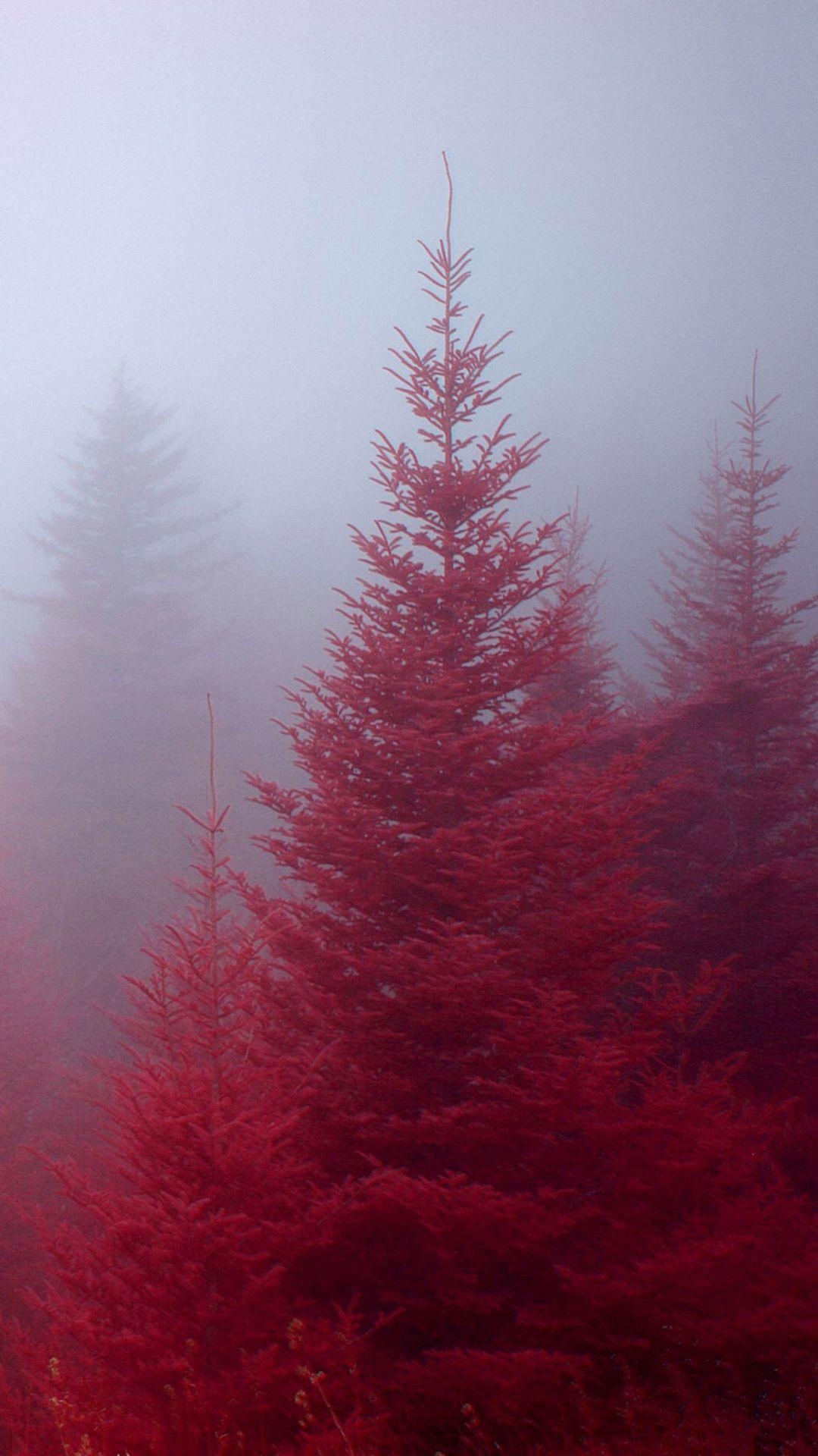 1080x1920 beautiful red nature forest iphone 6 wallpaper HD. Red aesthetic, Phone