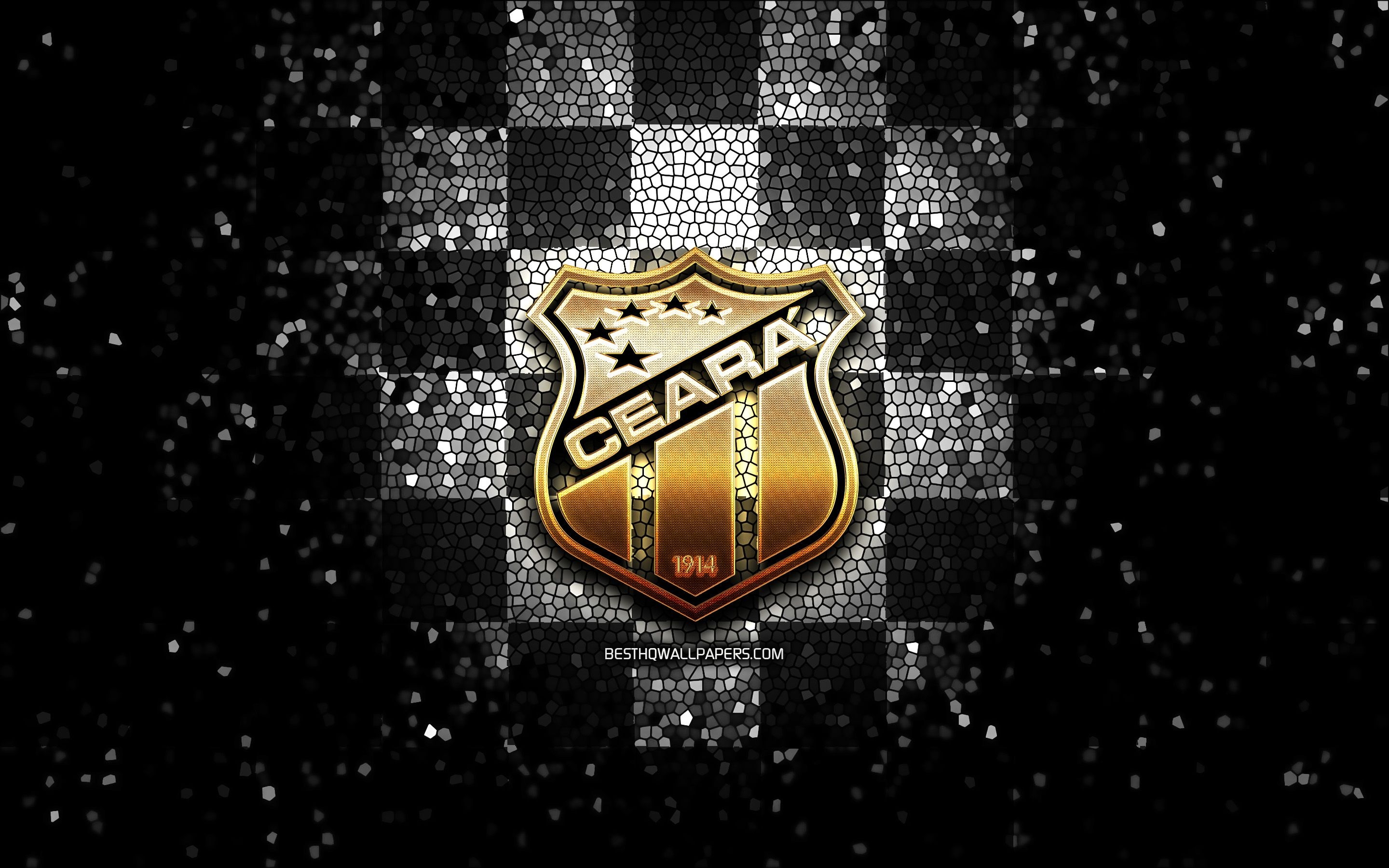 2880x1800 Download wallpaper Ceara FC, glitter logo, Serie A, black white, Desktop